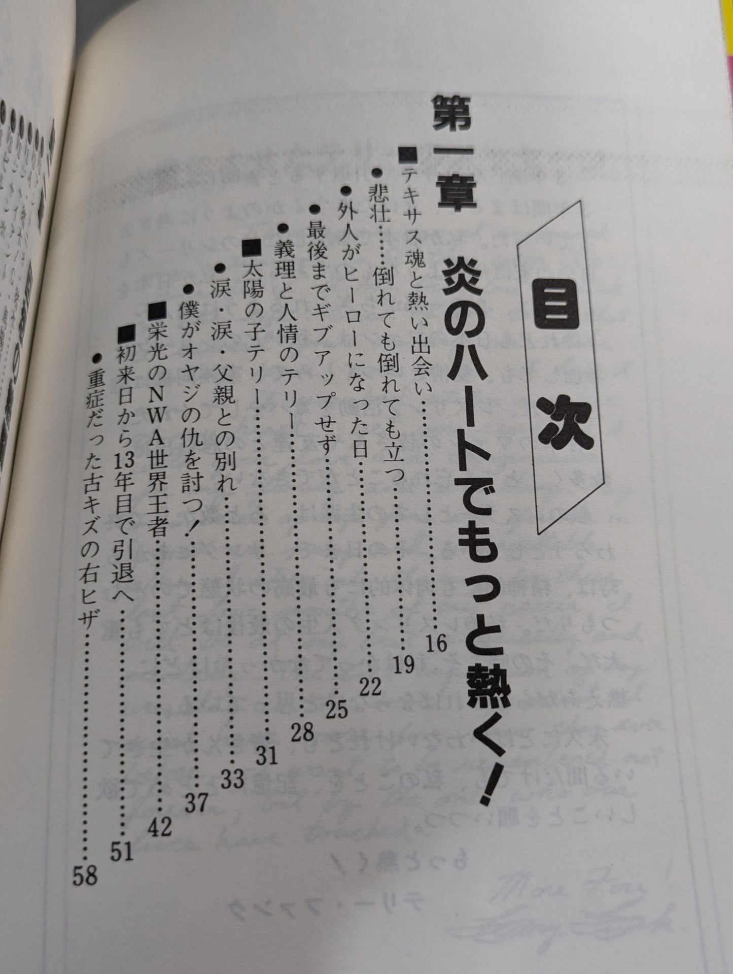 もっと熱く!テリー・ファンク