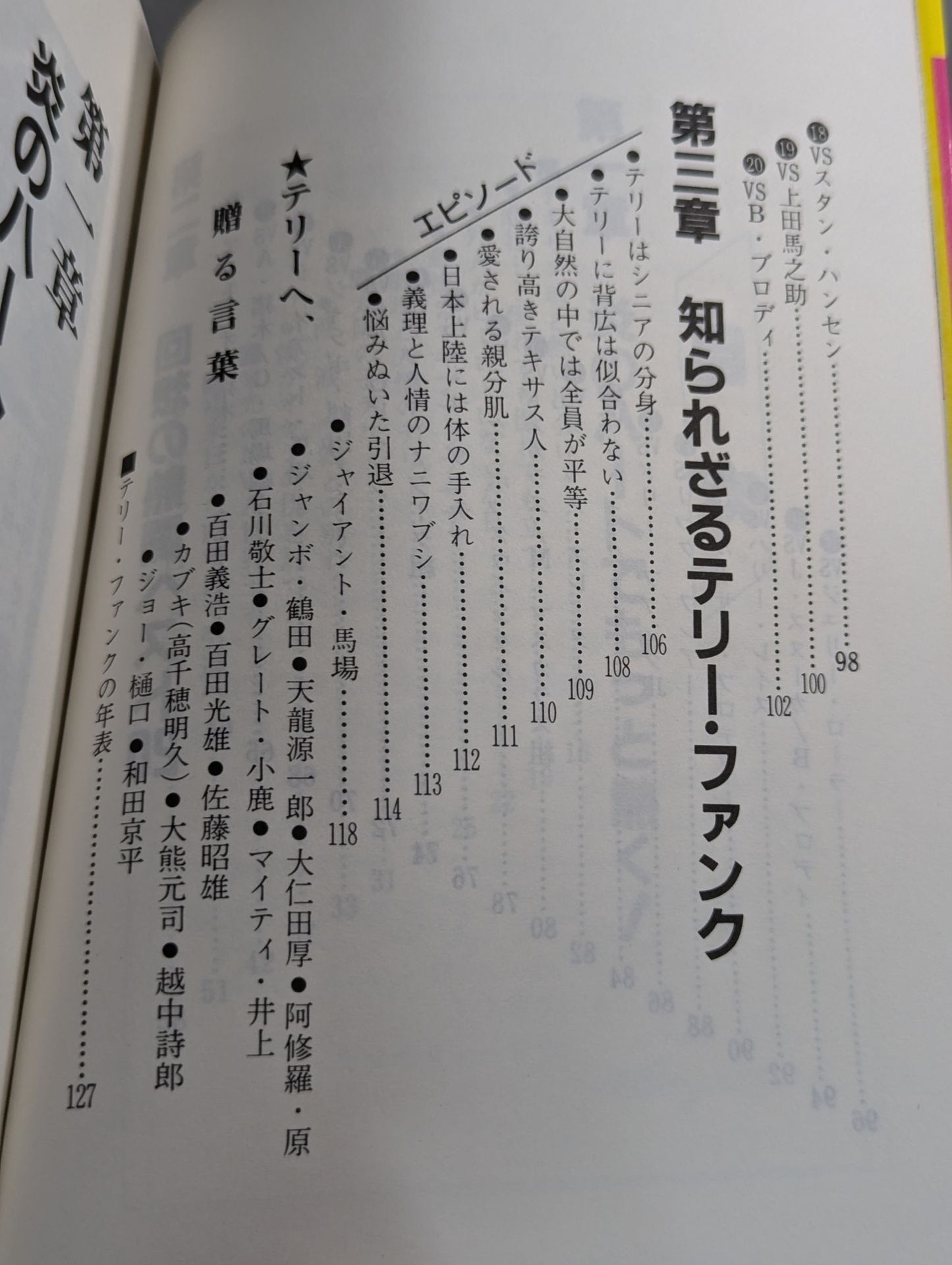 もっと熱く!テリー・ファンク