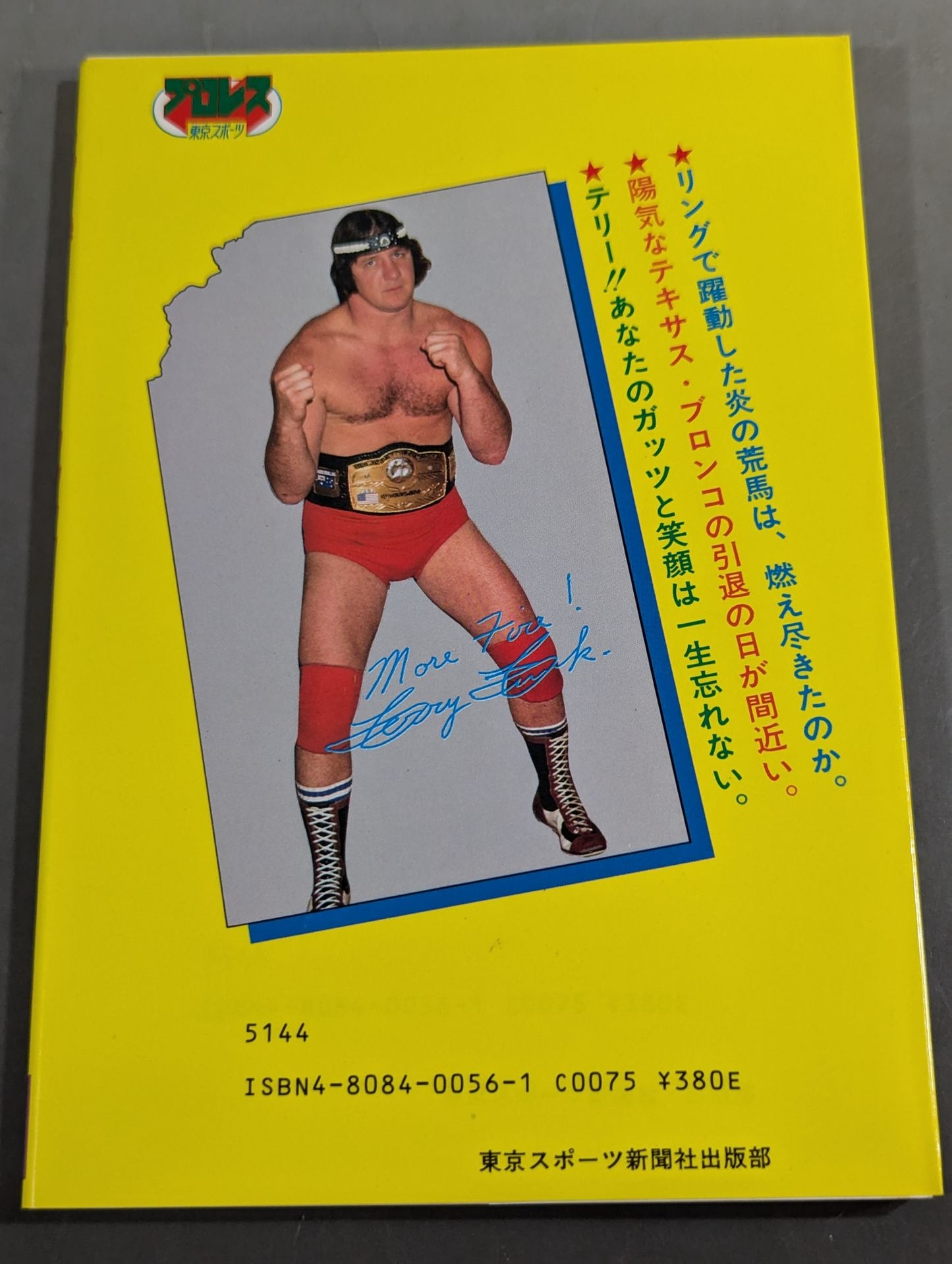 もっと熱く!テリー・ファンク