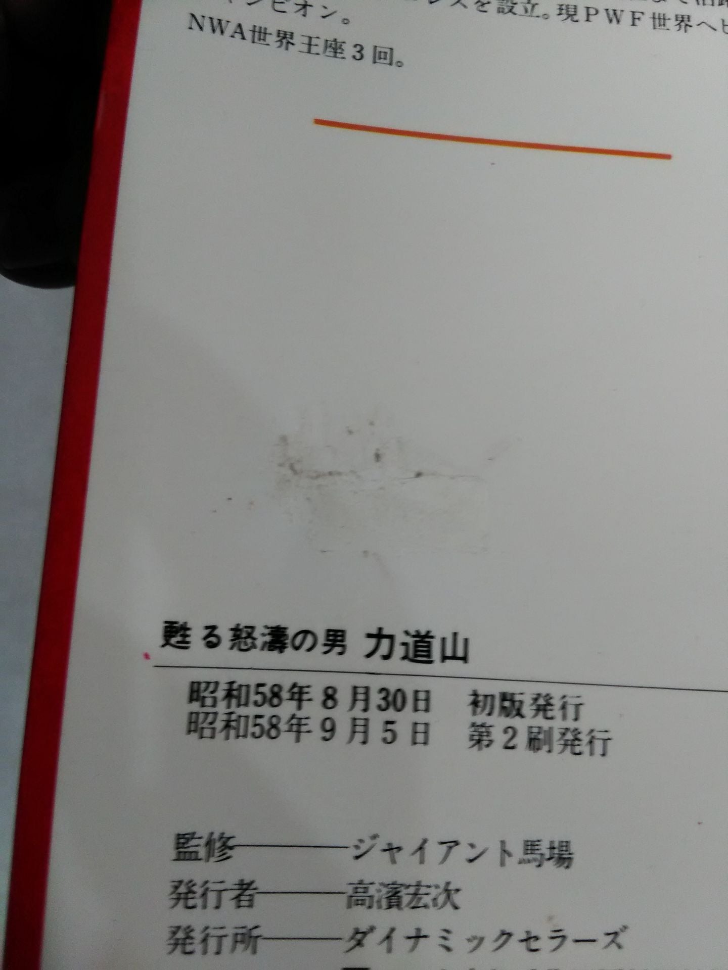 甦る怒濤の男 力道山