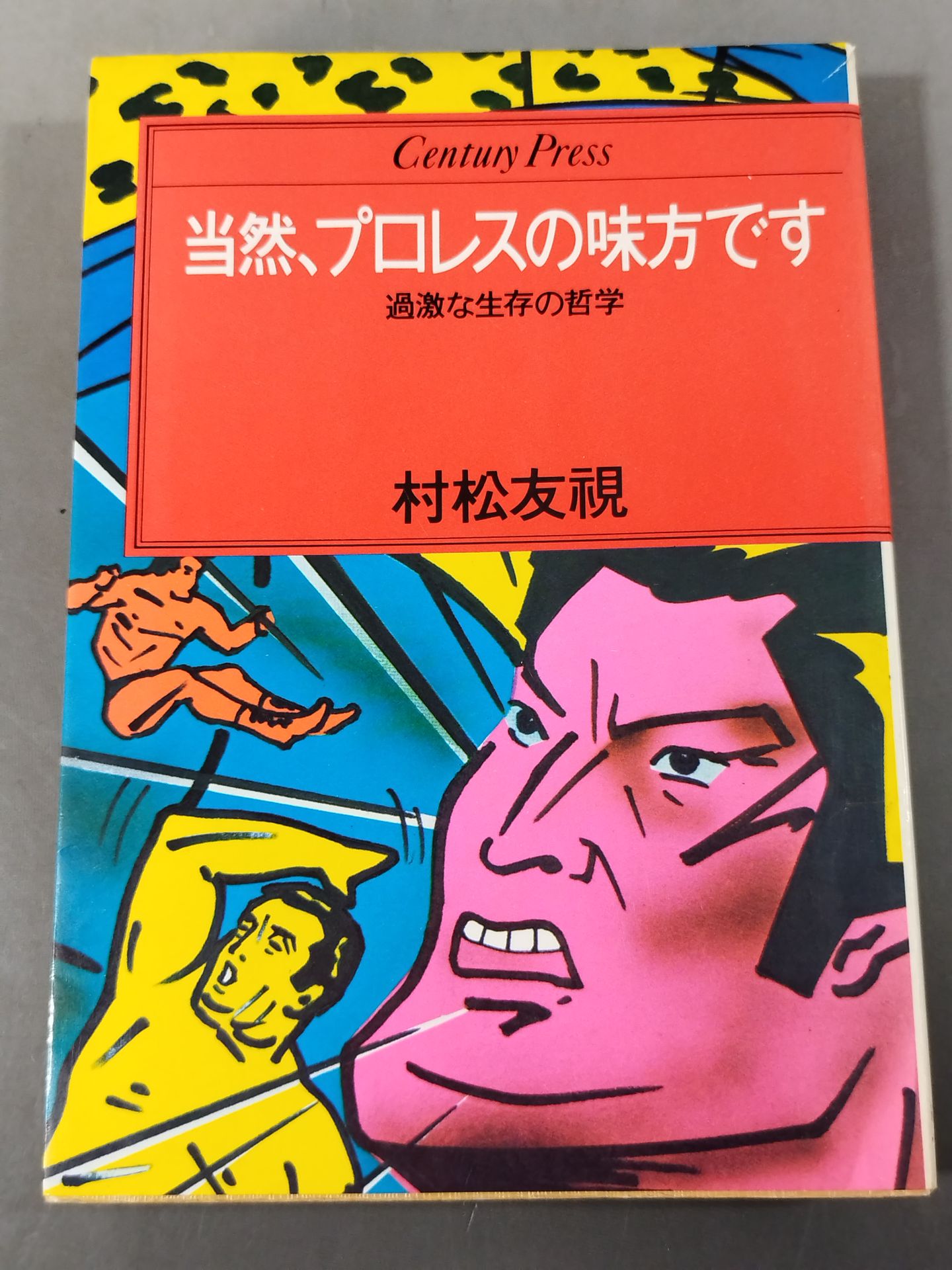 当然、プロレスの味方です 過激な生存の哲学
