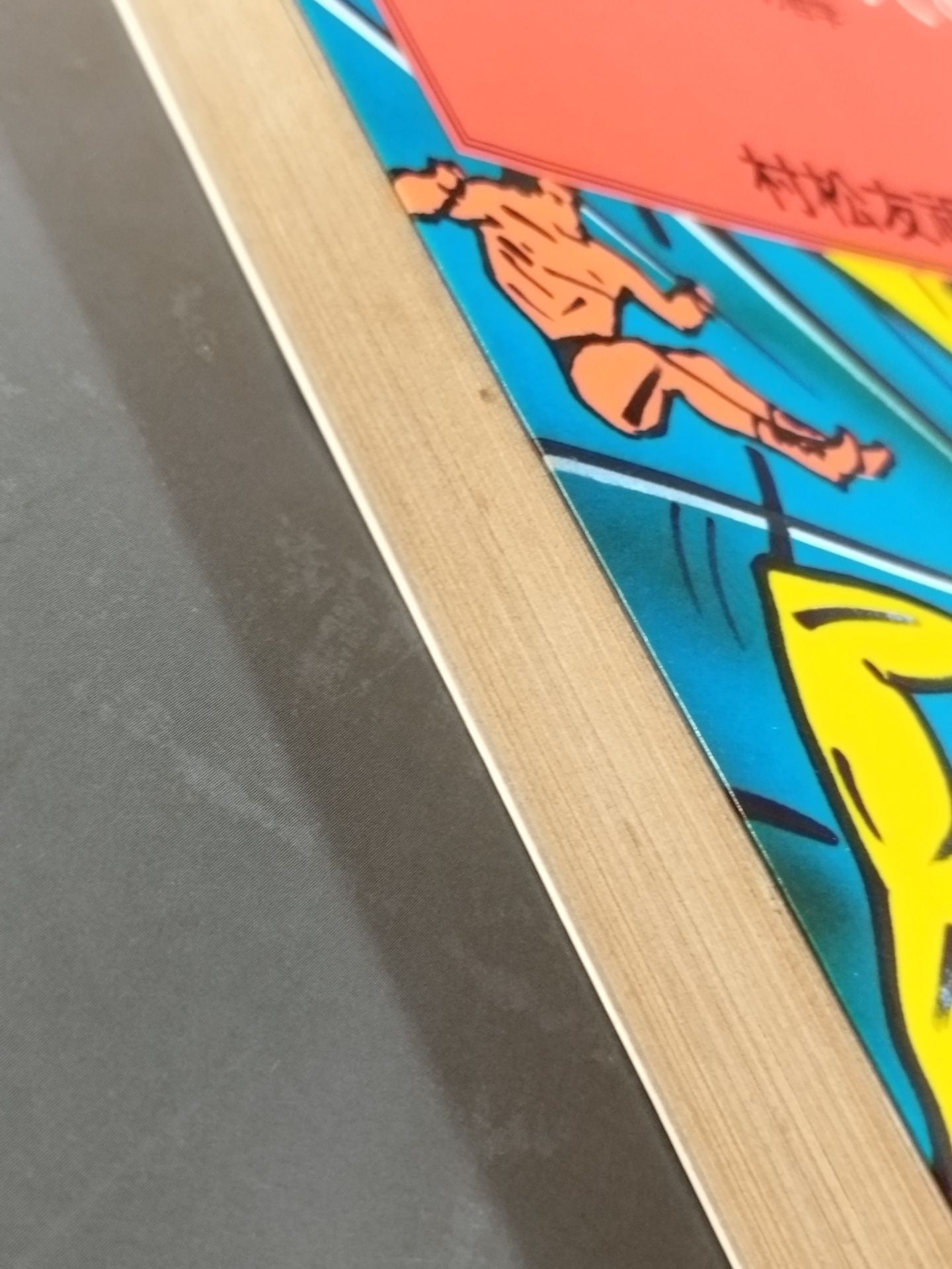 当然、プロレスの味方です 過激な生存の哲学