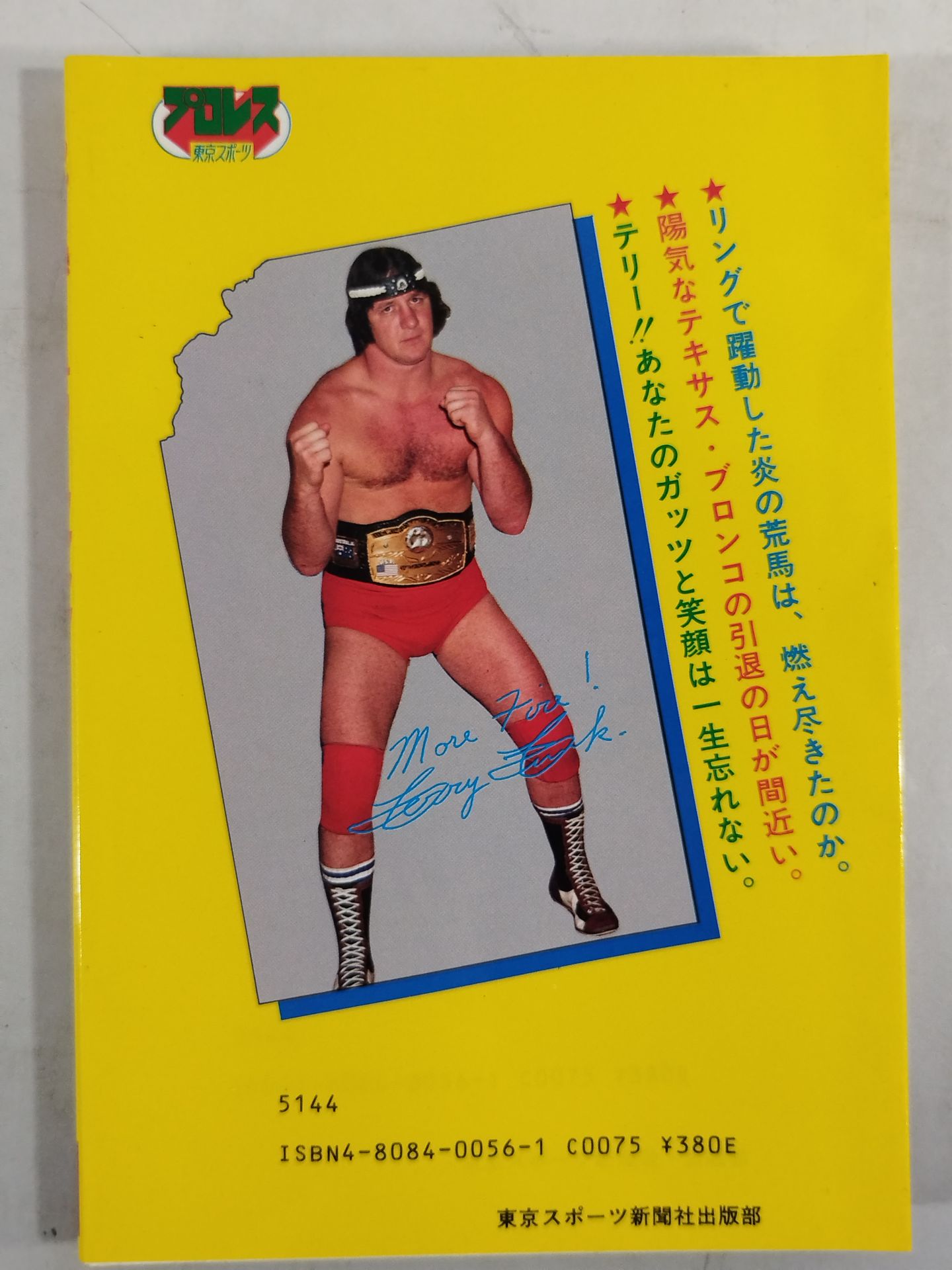 もっと熱く!テリー・ファンク