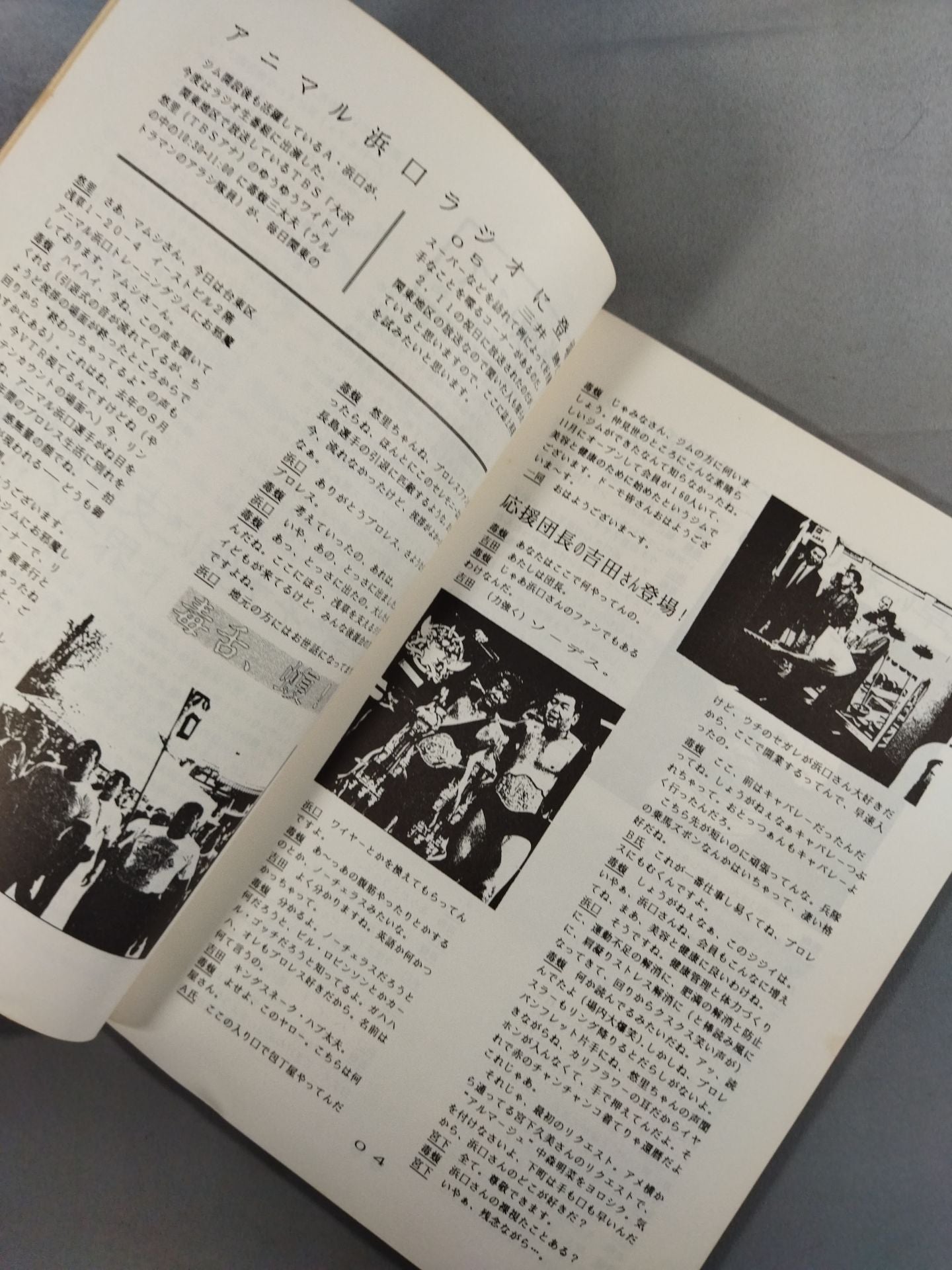 VIOLET No.15 (IWE International Pro Wrestling Fan Circle)