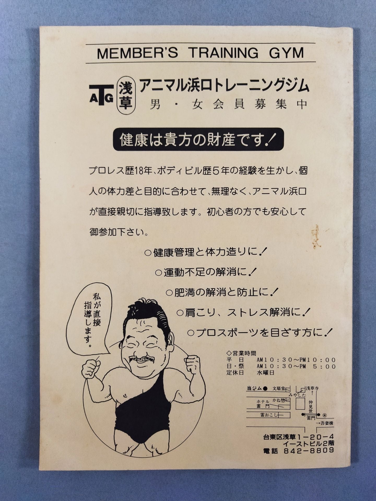 VIOLET No.15 (IWE International Pro Wrestling Fan Circle)