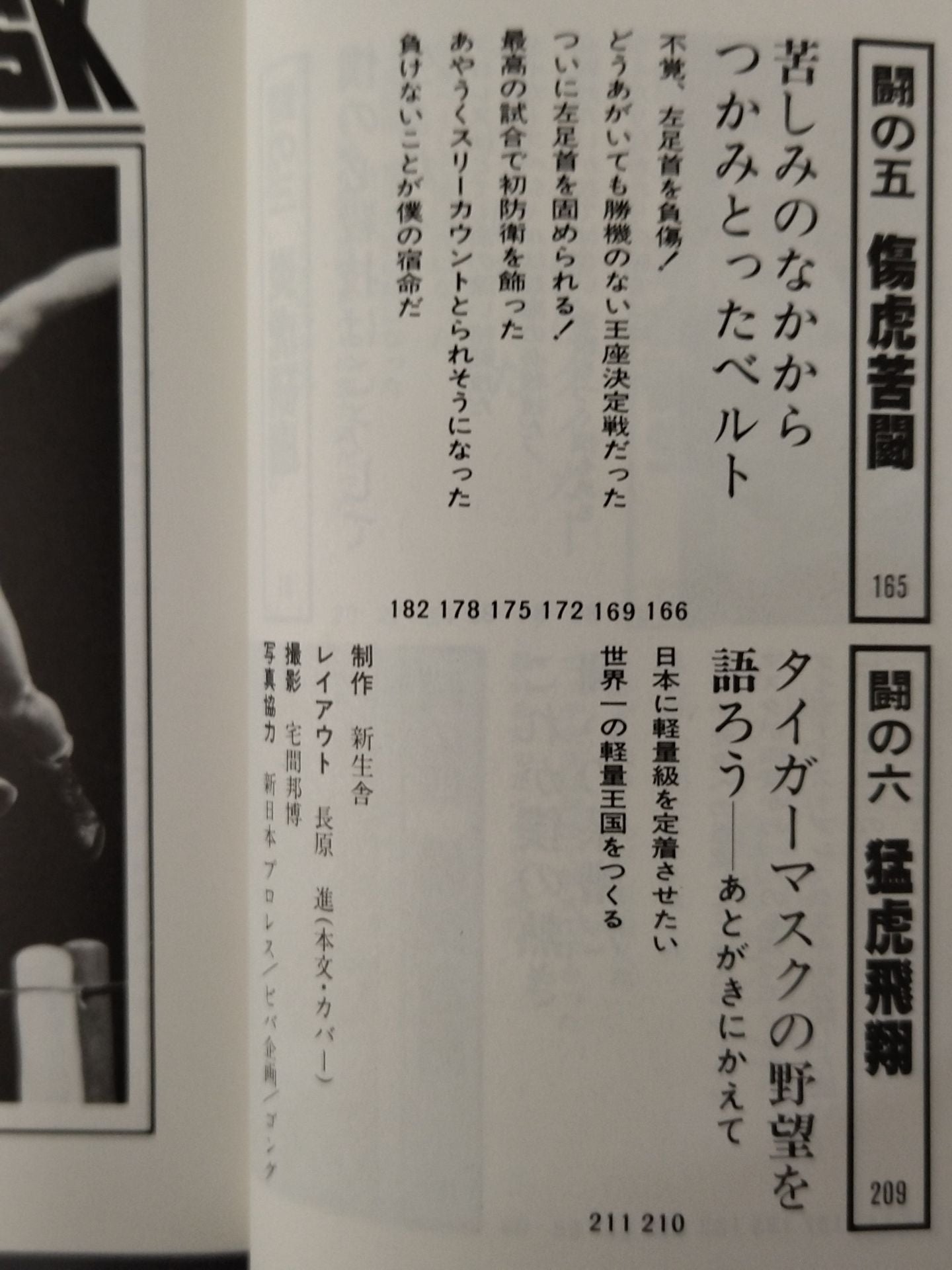 Shobe Tiger Mask