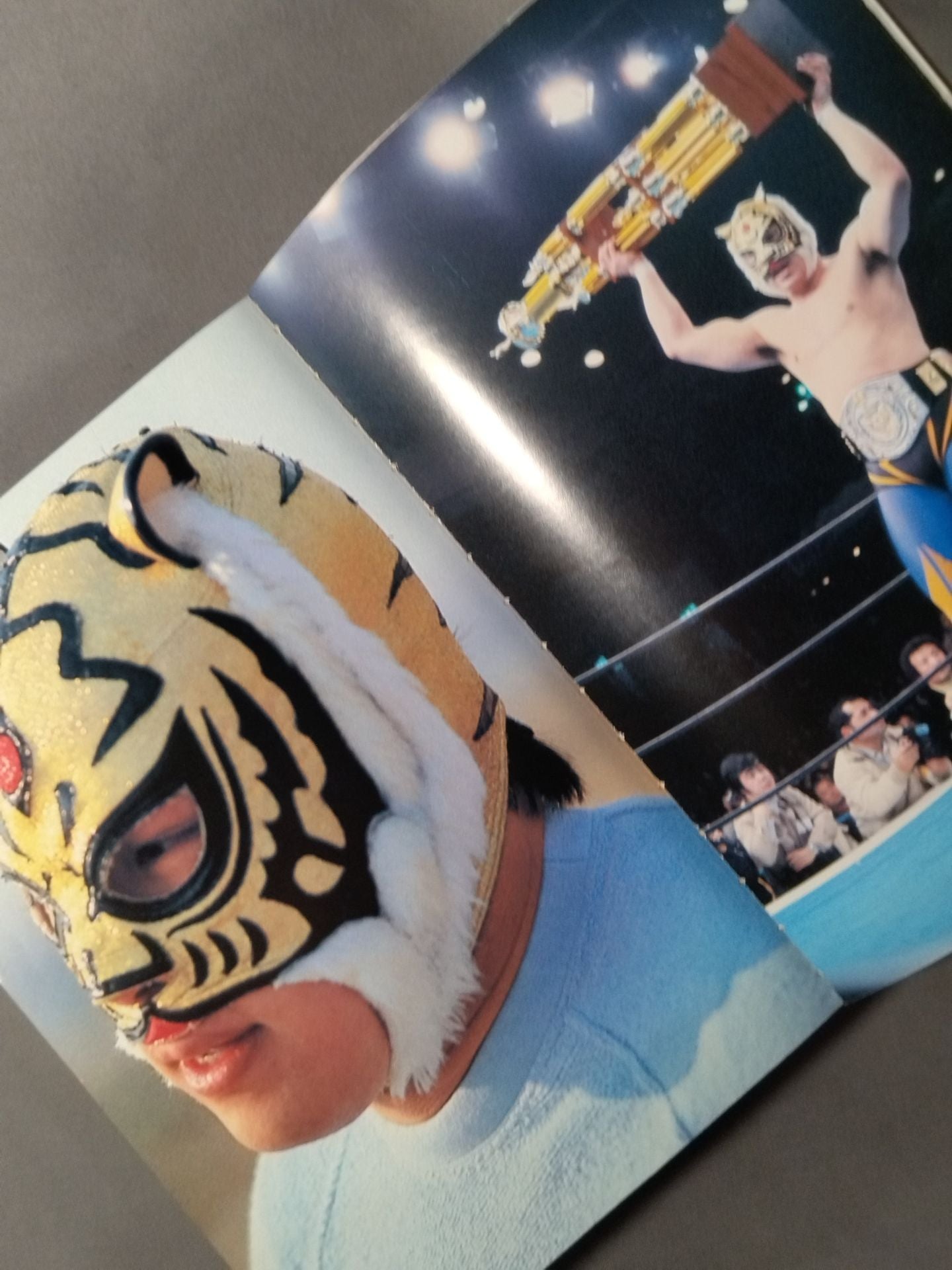 Shobe Tiger Mask