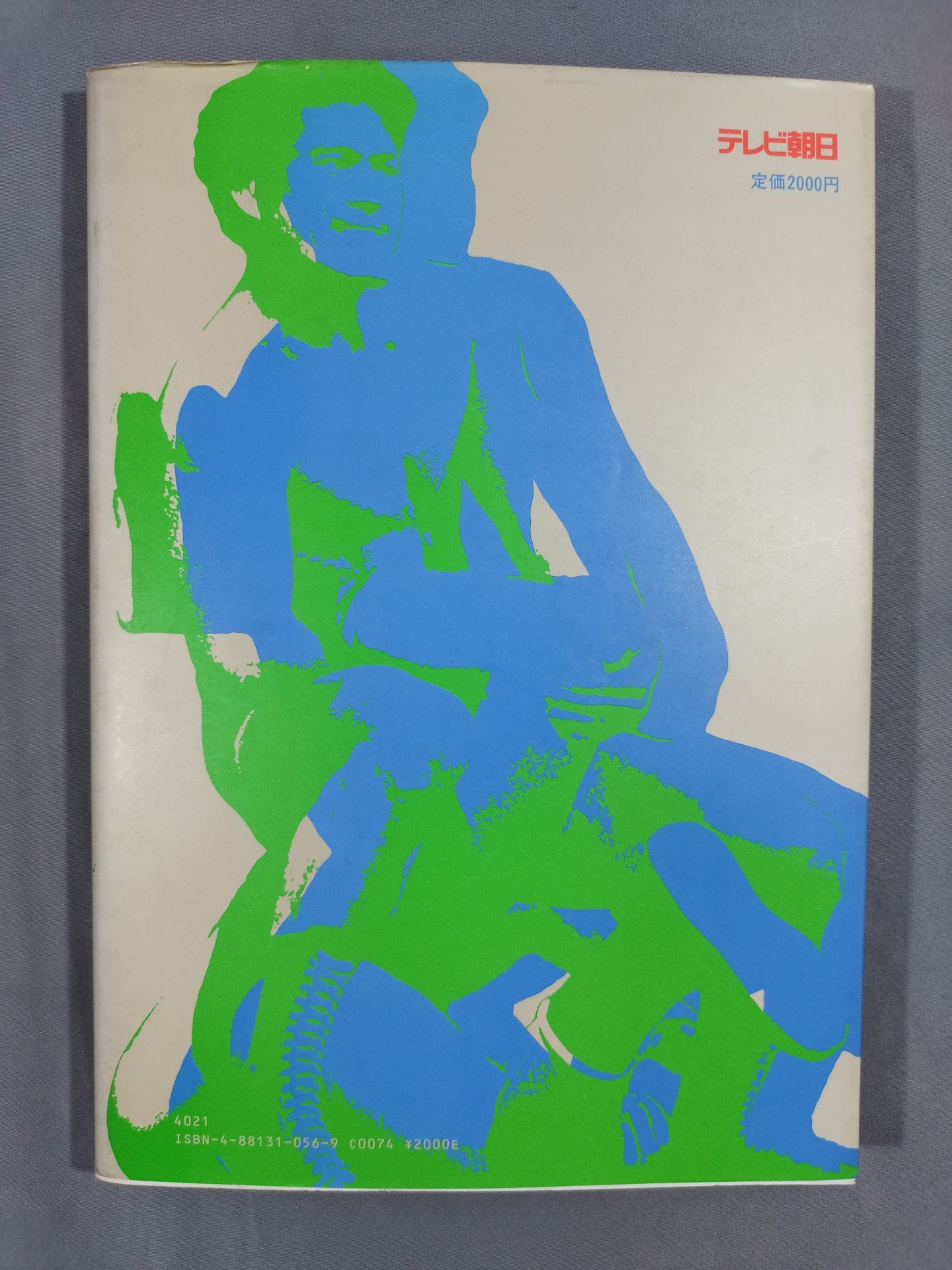 A Fighting Wonderland: 15 Years of World Pro-wrestling