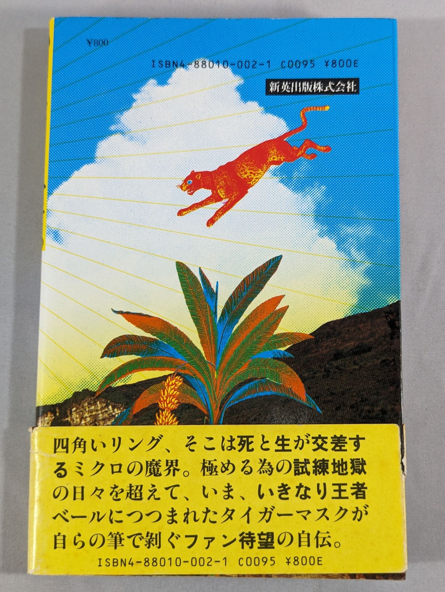 Suddenly, the champion.