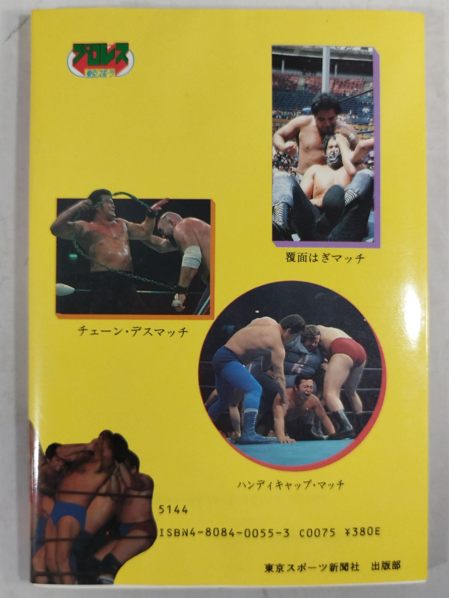 Pro Wrestling Fun Match 50