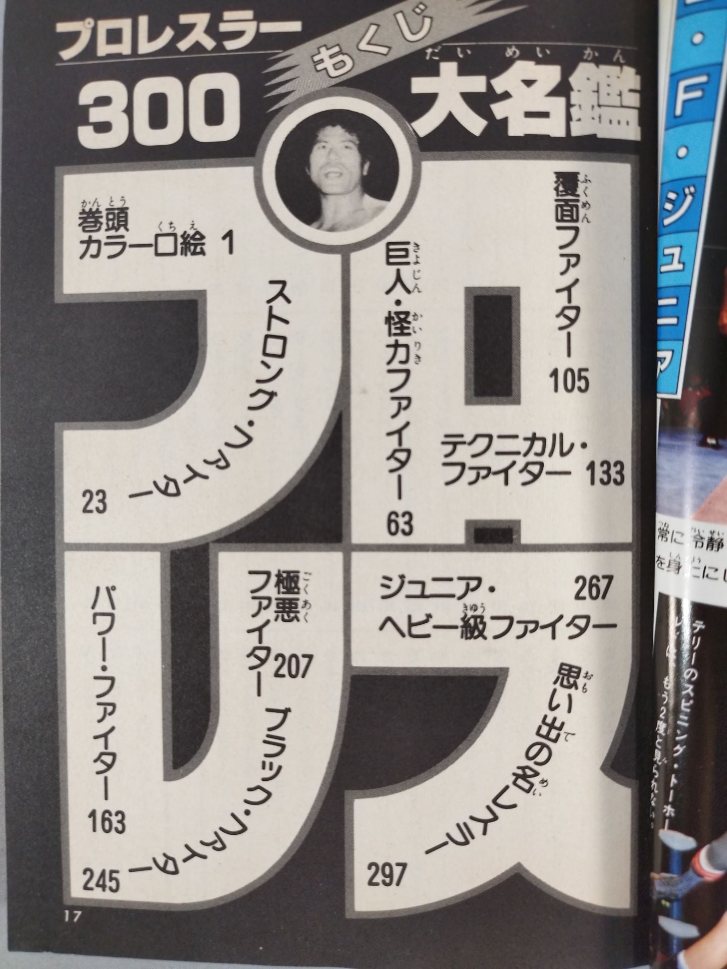 Pro Wrestler 【300】Daimyo Directory