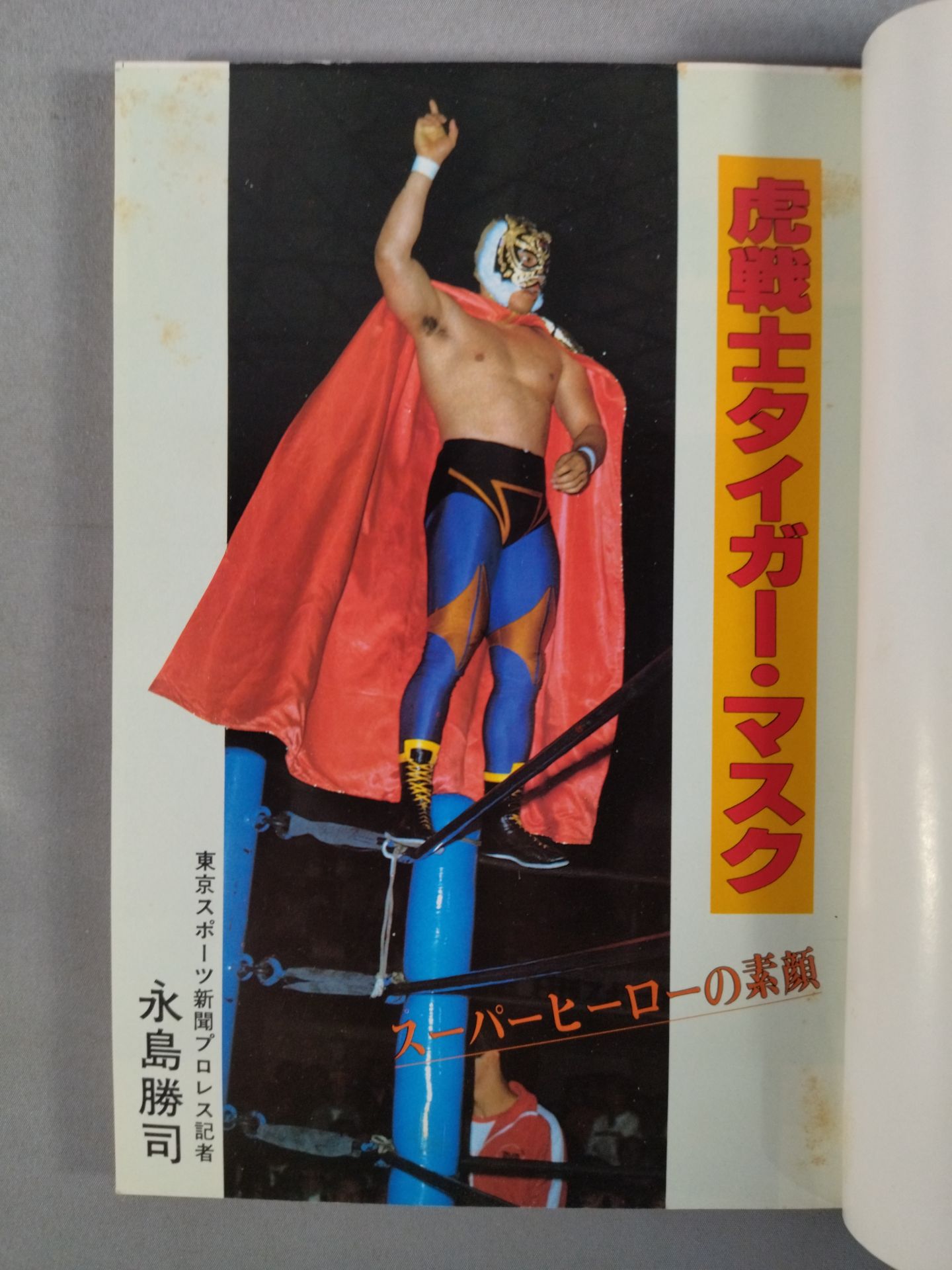 Tiger Mask: The True Face of a Superhero