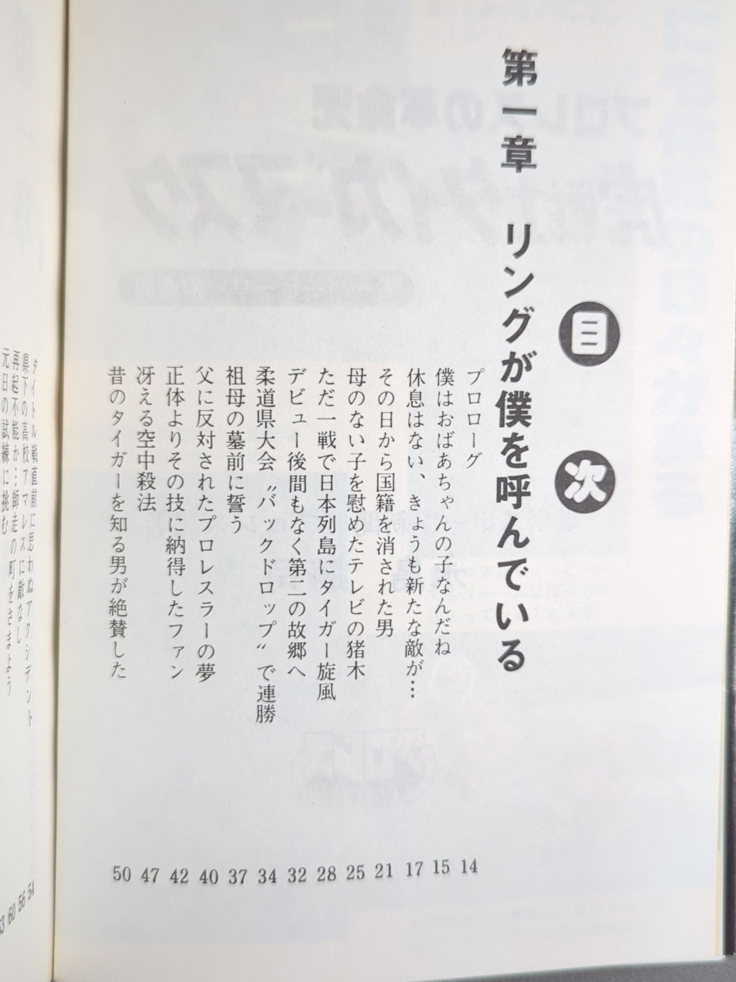 Tiger Mask: The True Face of a Superhero