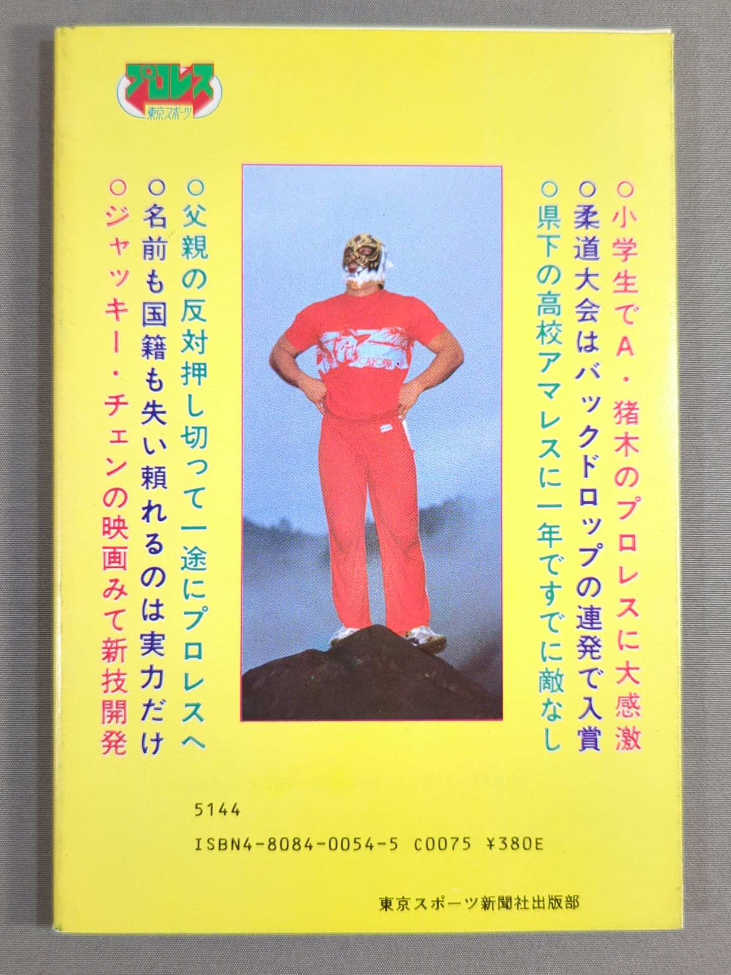 Tiger Mask: The True Face of a Superhero