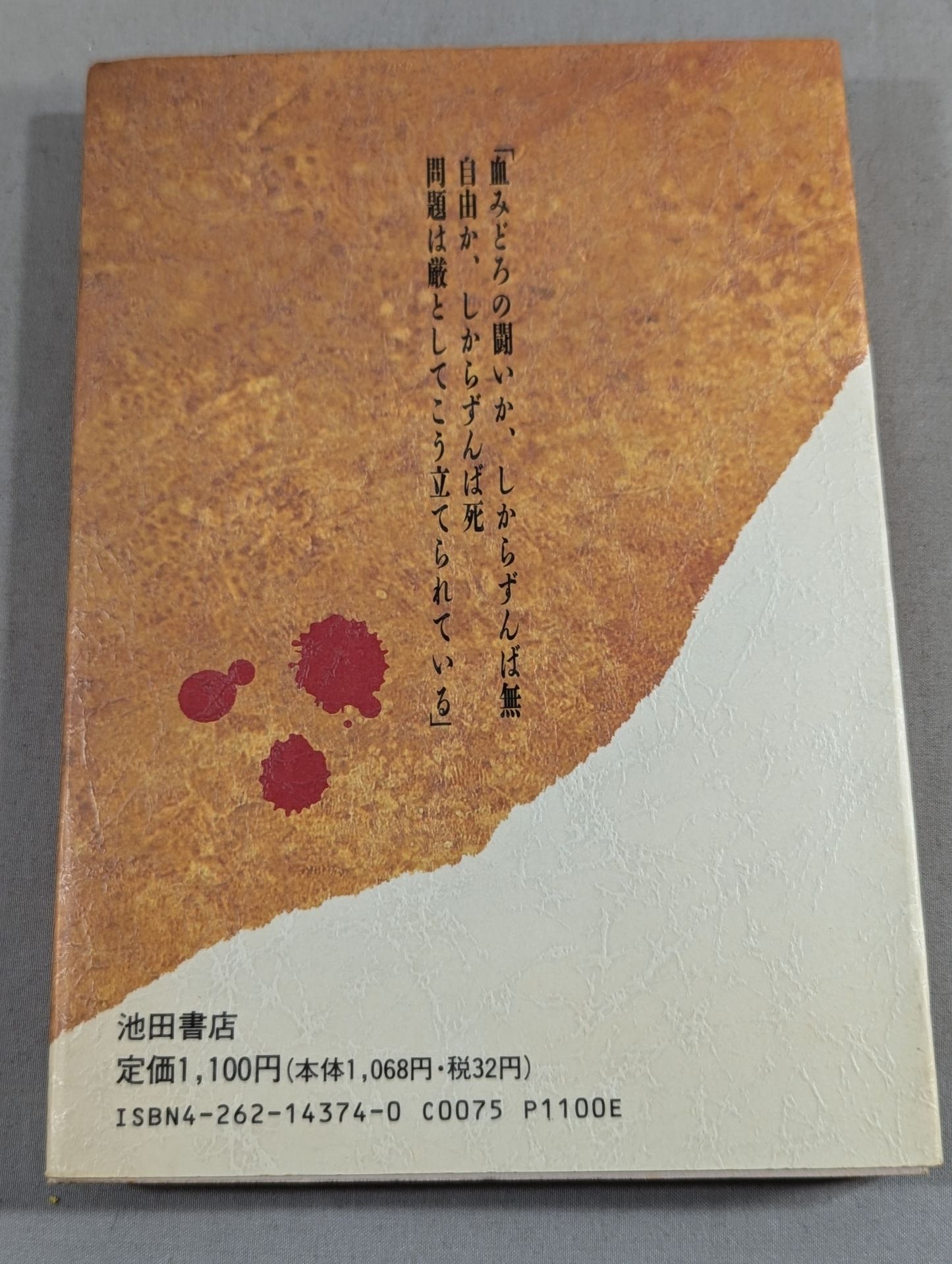 闘いか、しからずんば無… UWF選ばれし者たちの軌跡