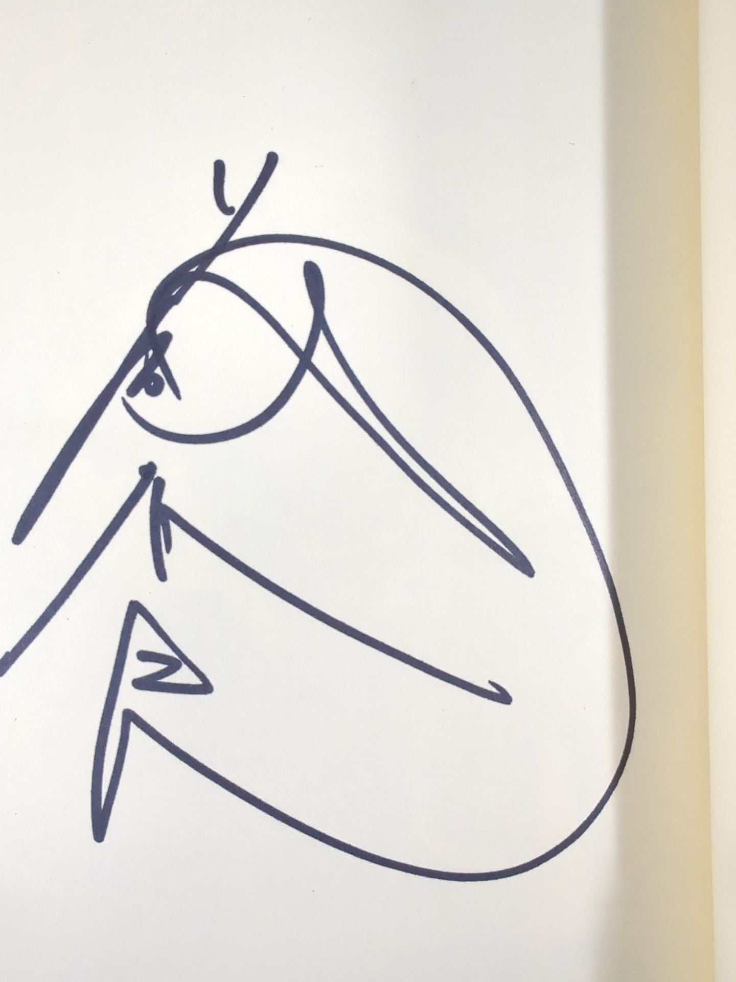 【hand signed autograph】 Tatsumi Fujinami Flying Dragon of Fire