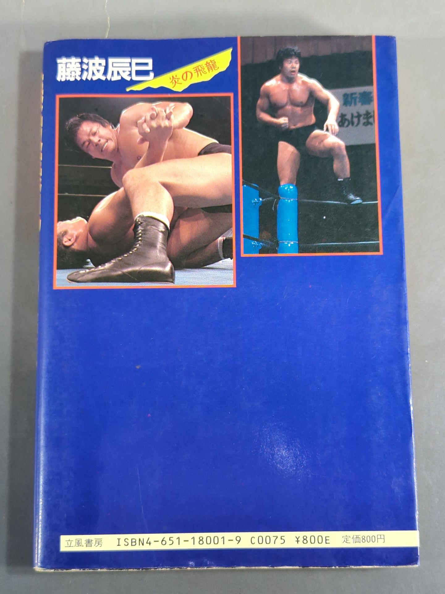 【hand signed autograph】 Tatsumi Fujinami Flying Dragon of Fire