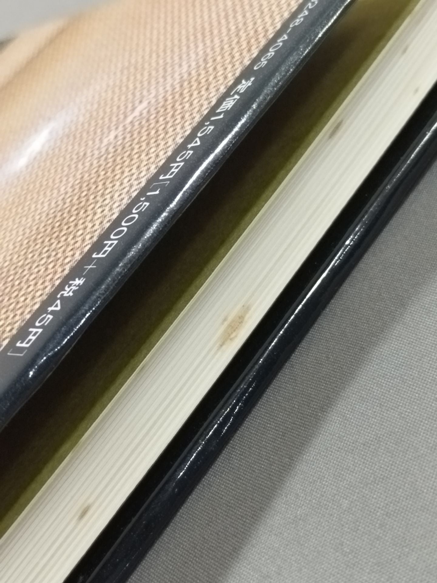 Rings: Study of Heroes in Yoshiaki Fujiwara and UWF as a Phenomenon