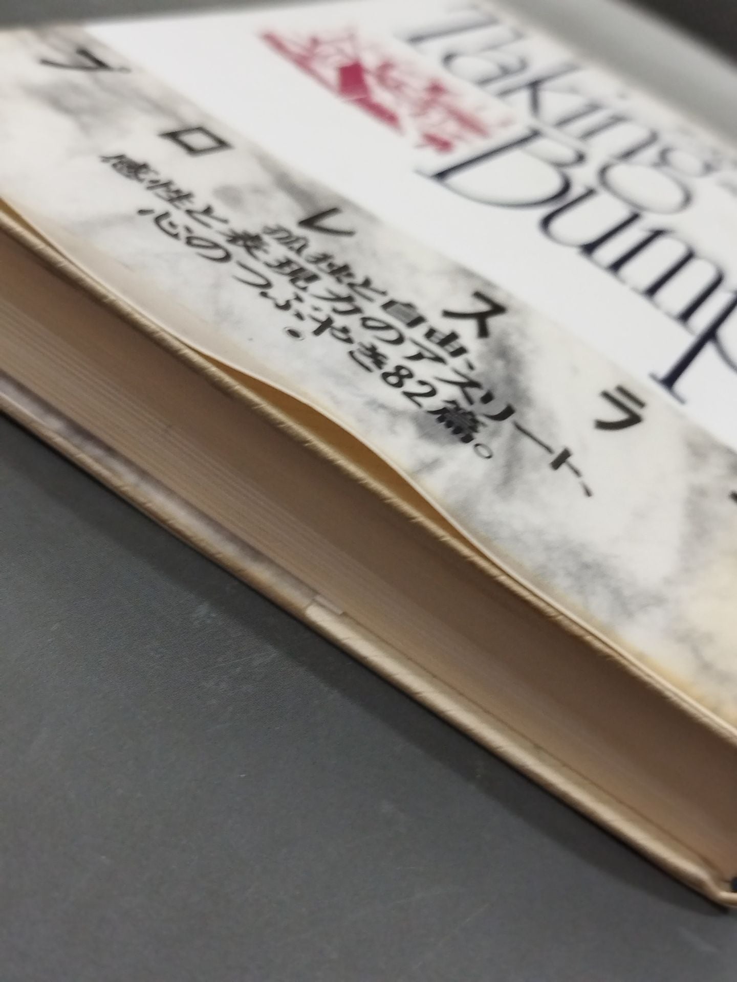 【Fumihiko Saito Hand Signed Autograph 】Taking BumpPro-wrestling column