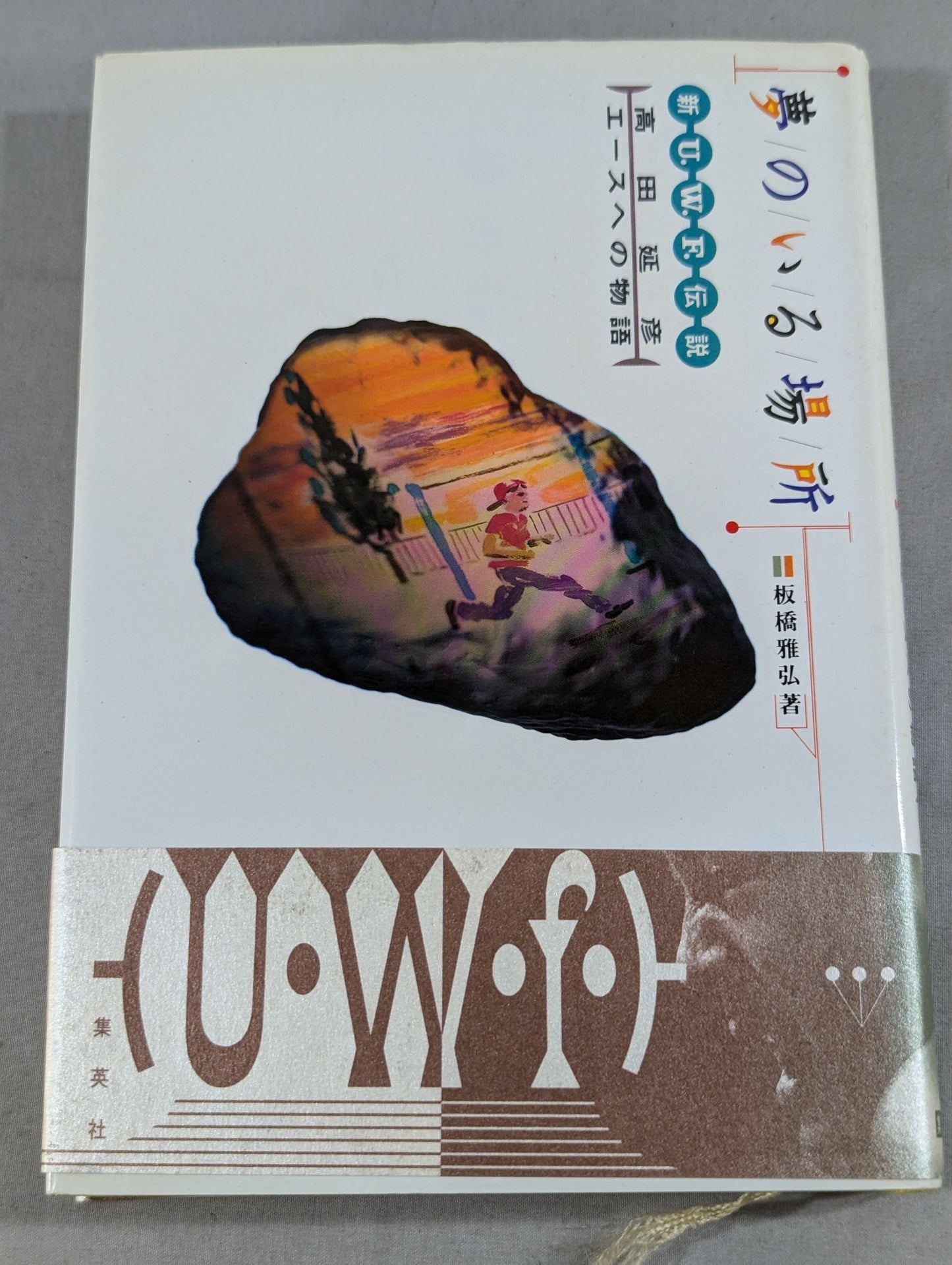 夢のいる場所 新U.W.F.伝説