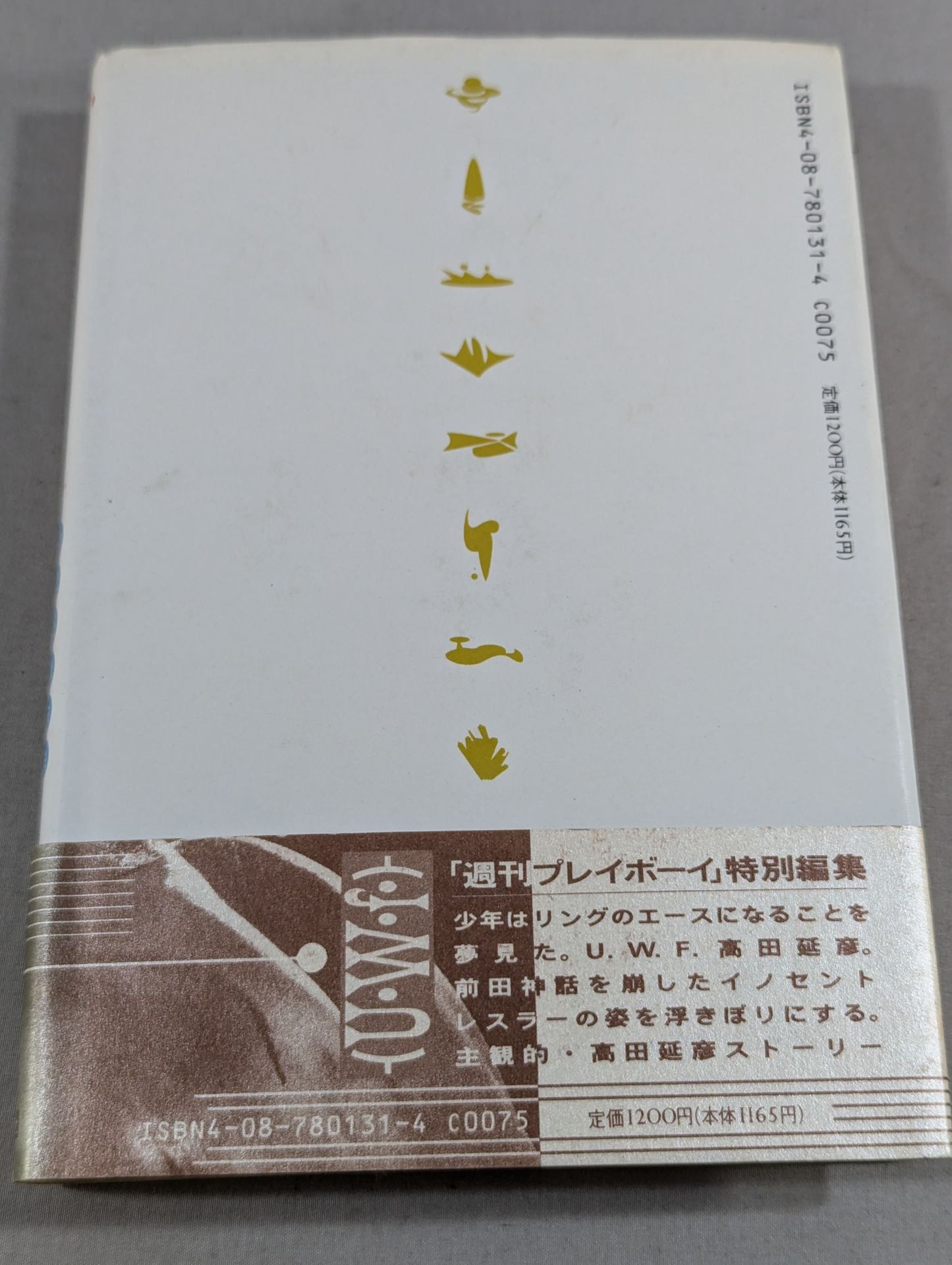 夢のいる場所 新U.W.F.伝説