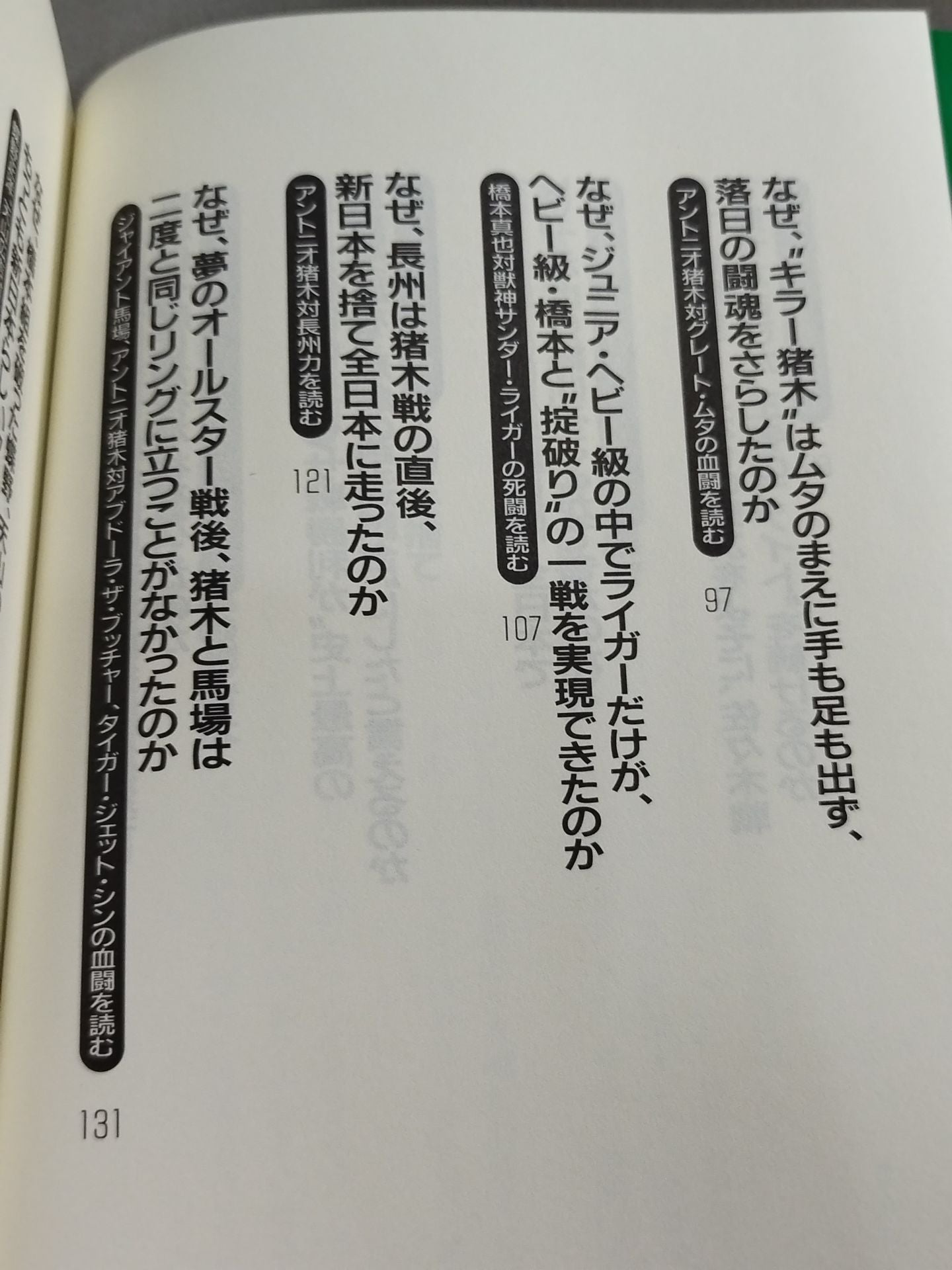 Pocket Book Special Pro Wrestling Martial Arts Famous Match Daizen