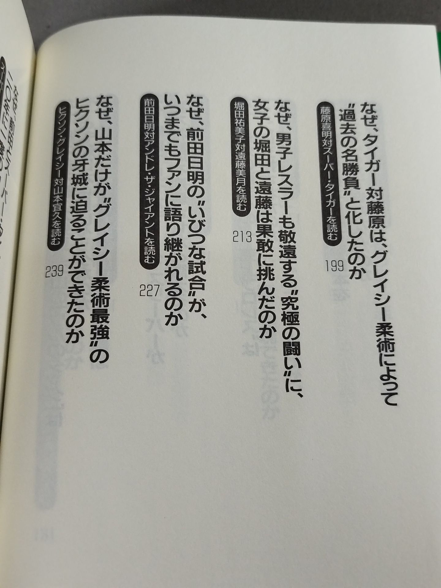 Pocket Book Special Pro Wrestling Martial Arts Famous Match Daizen