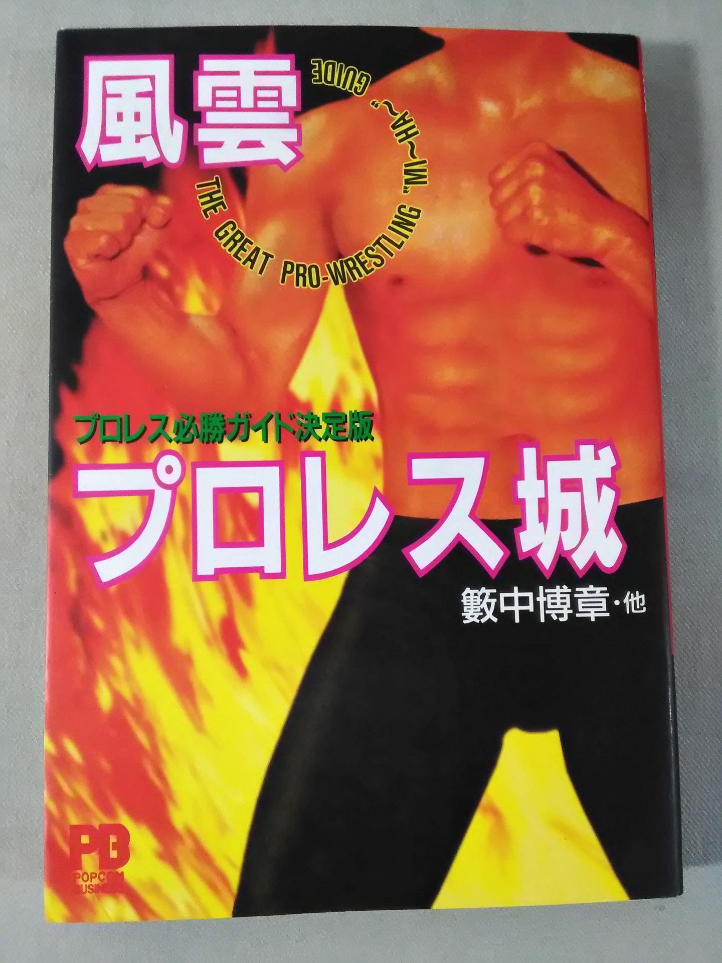 Fengyun Pro Wrestling Castle Pro Wrestling Definitive Guide