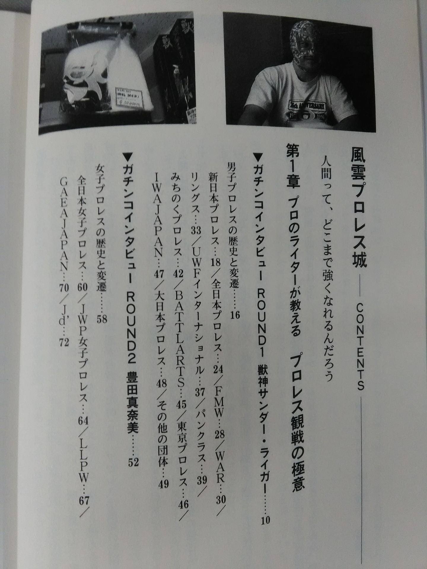 Fengyun Pro Wrestling Castle Pro Wrestling Definitive Guide