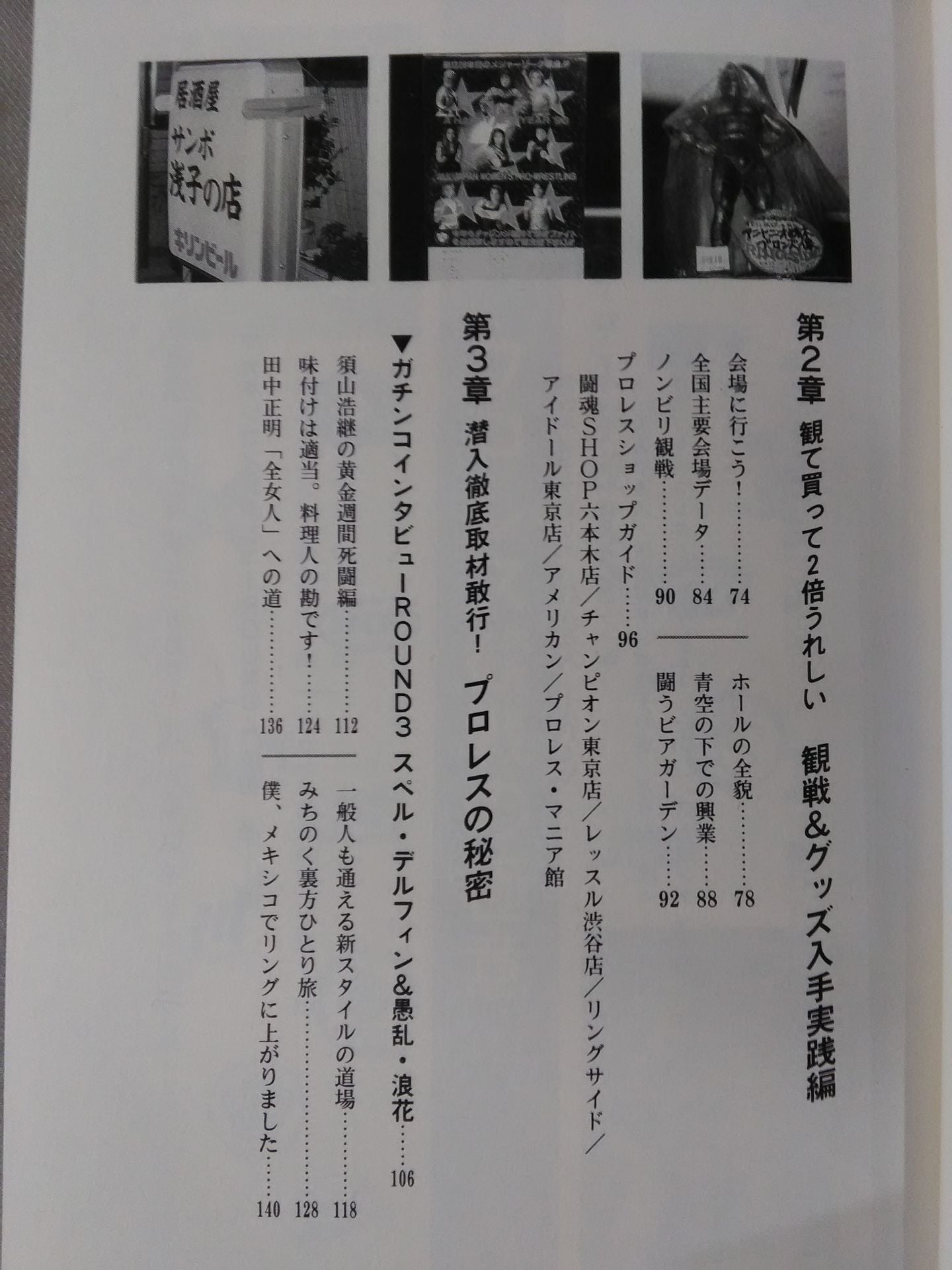 Fengyun Pro Wrestling Castle Pro Wrestling Definitive Guide
