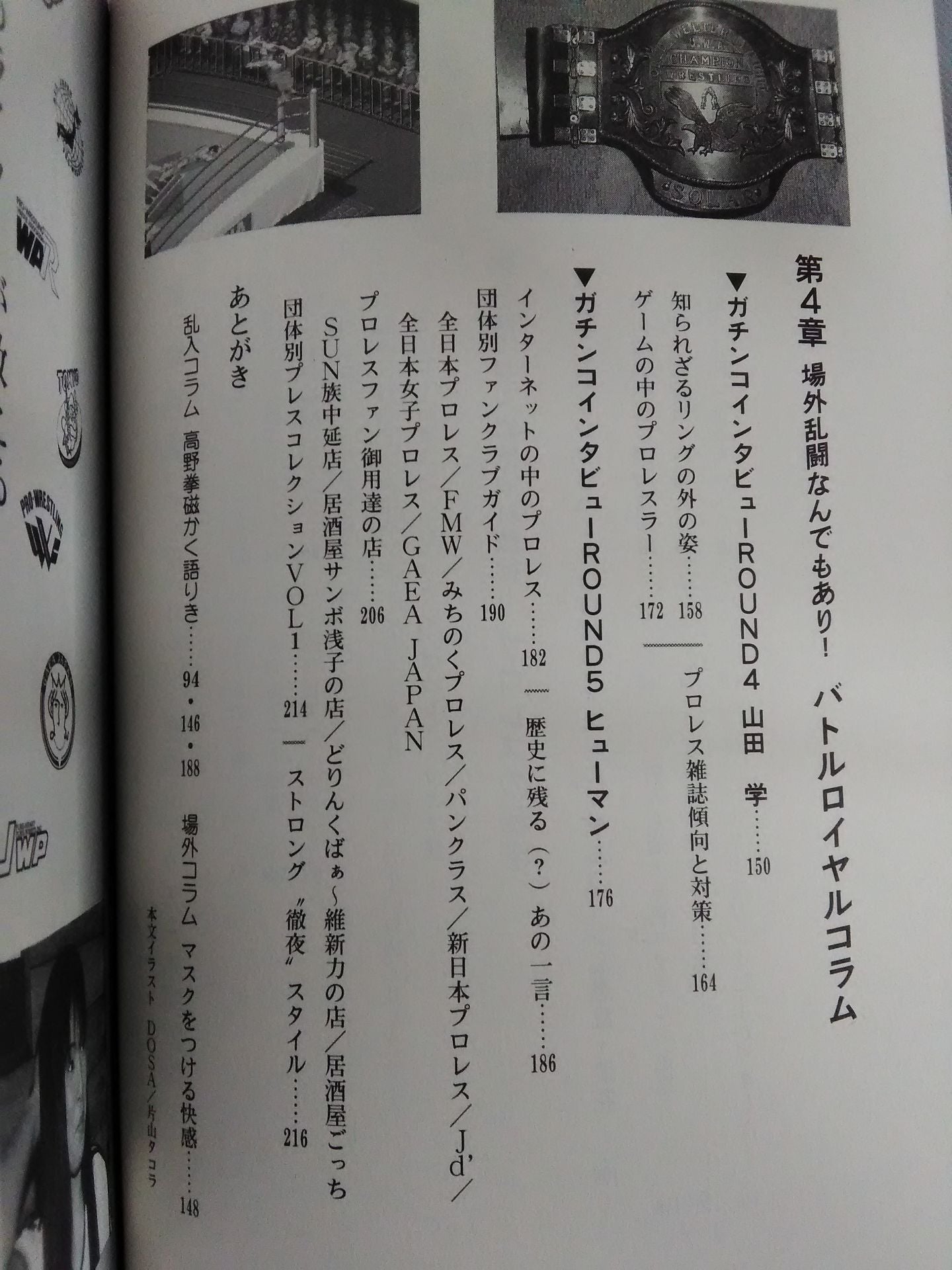 Fengyun Pro Wrestling Castle Pro Wrestling Definitive Guide