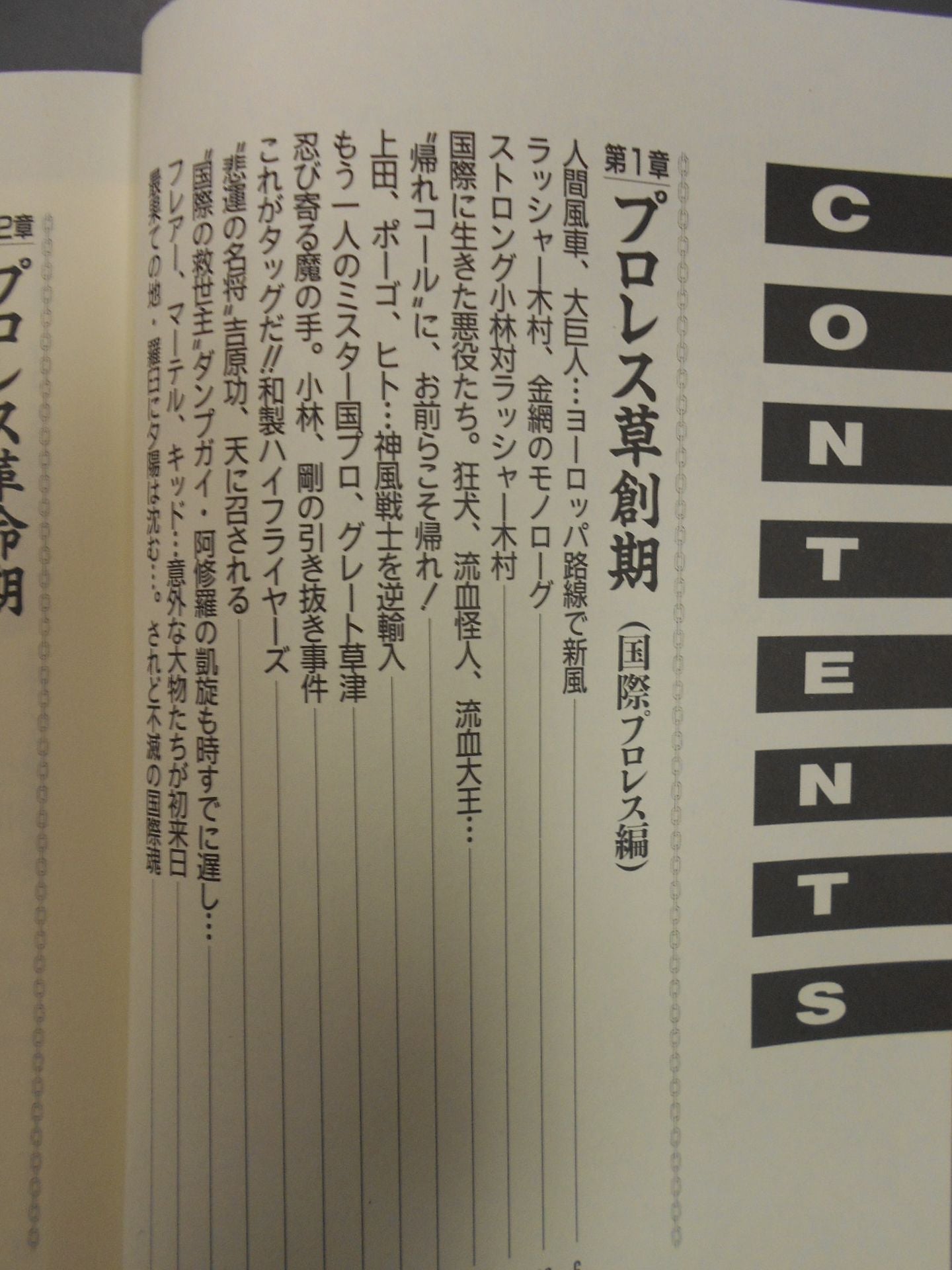 プロレス戦国史 仁義なき戦い