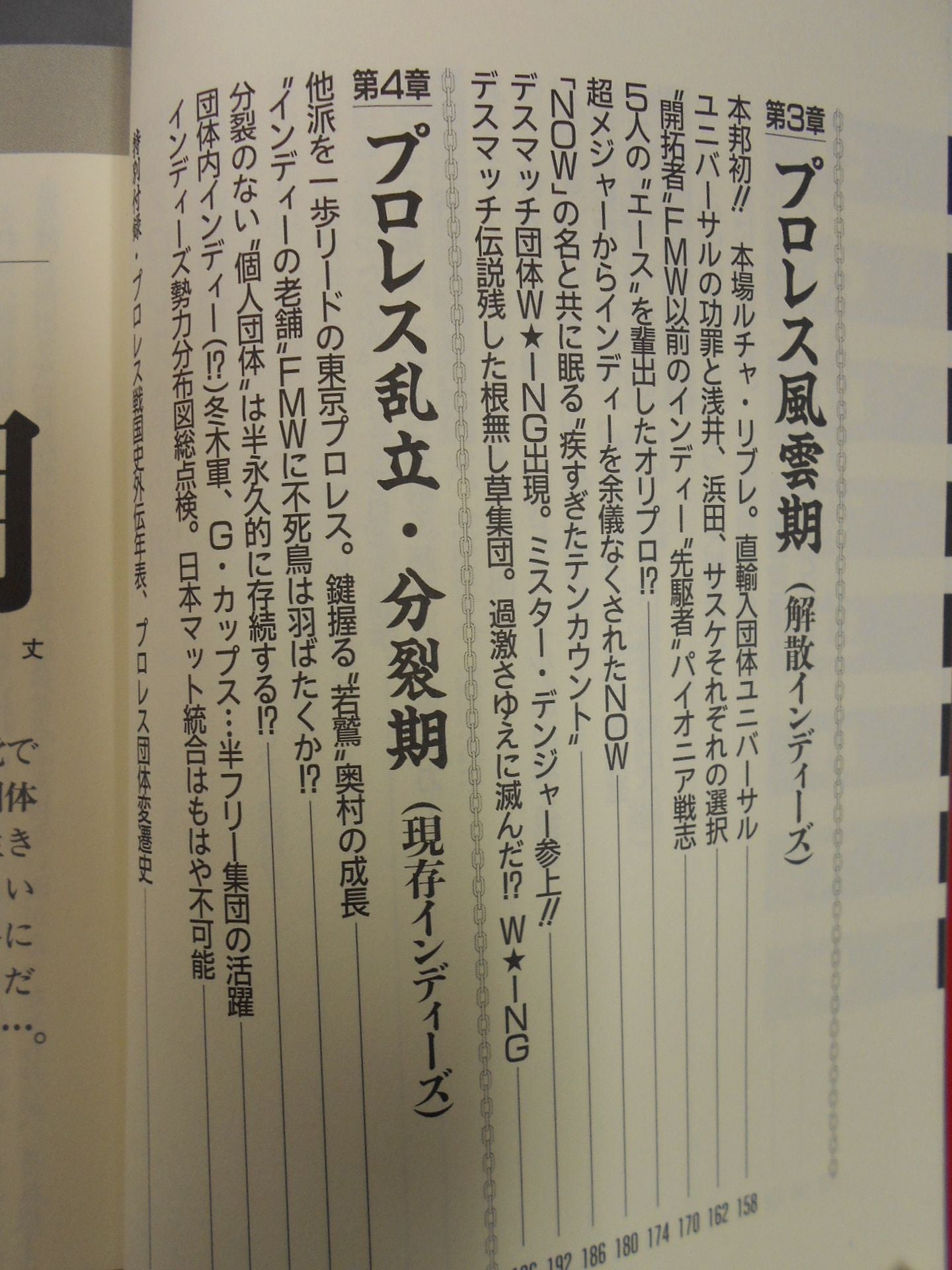 プロレス戦国史 仁義なき戦い