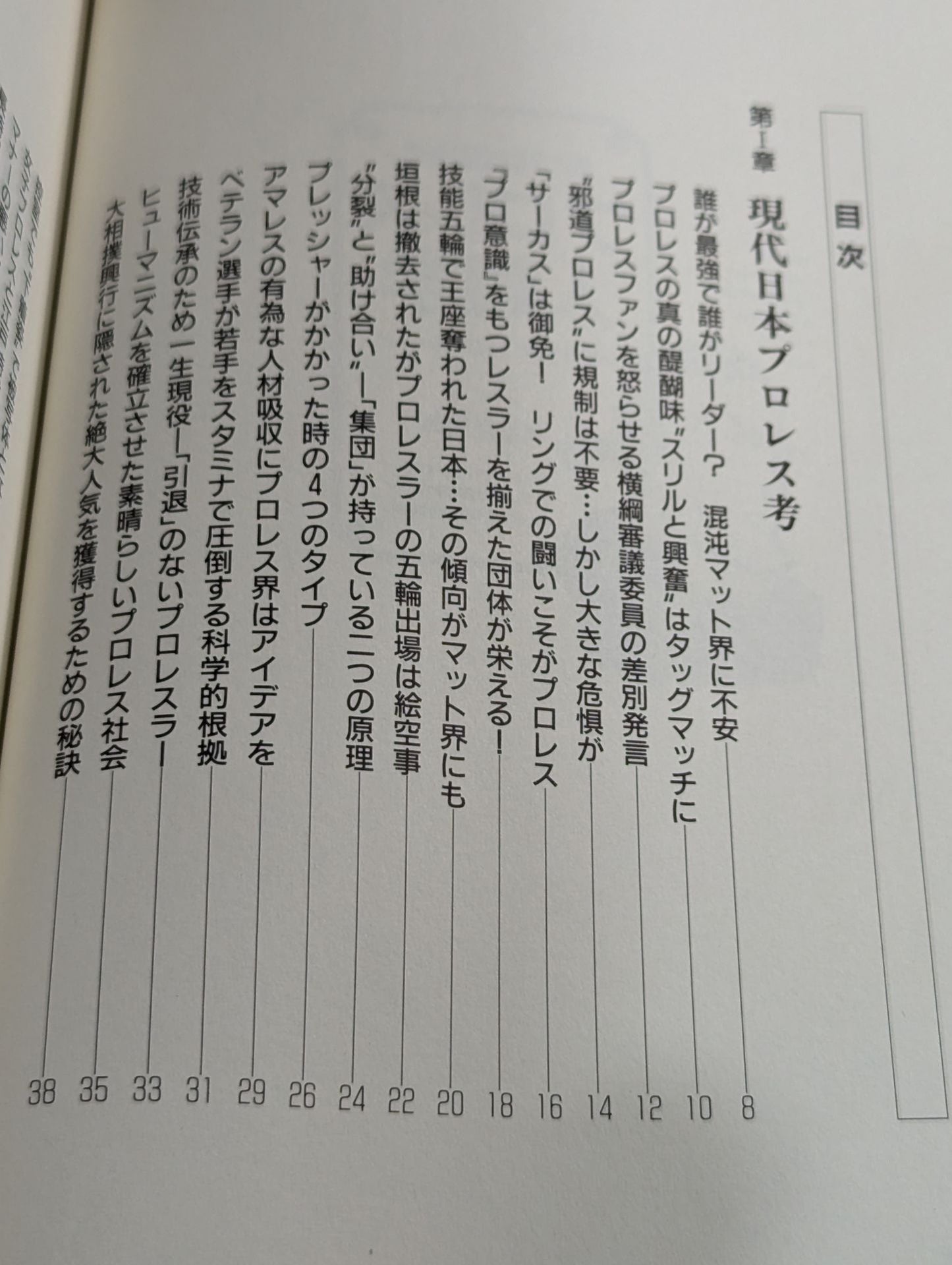Kenshiro Matsunami's Pro Wrestling Anthropology