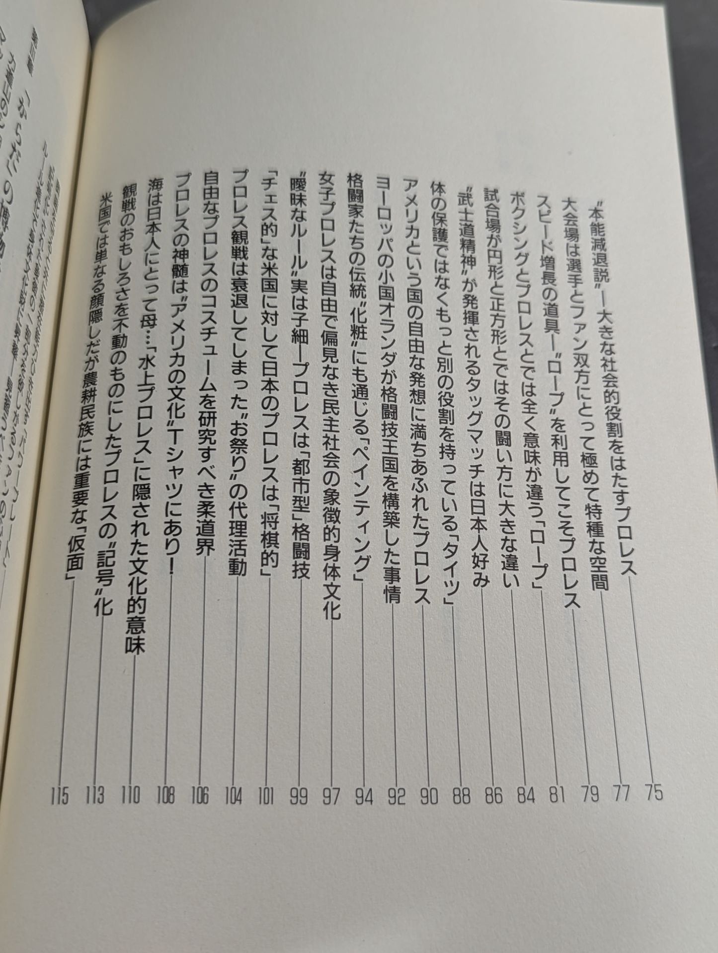 Kenshiro Matsunami's Pro Wrestling Anthropology
