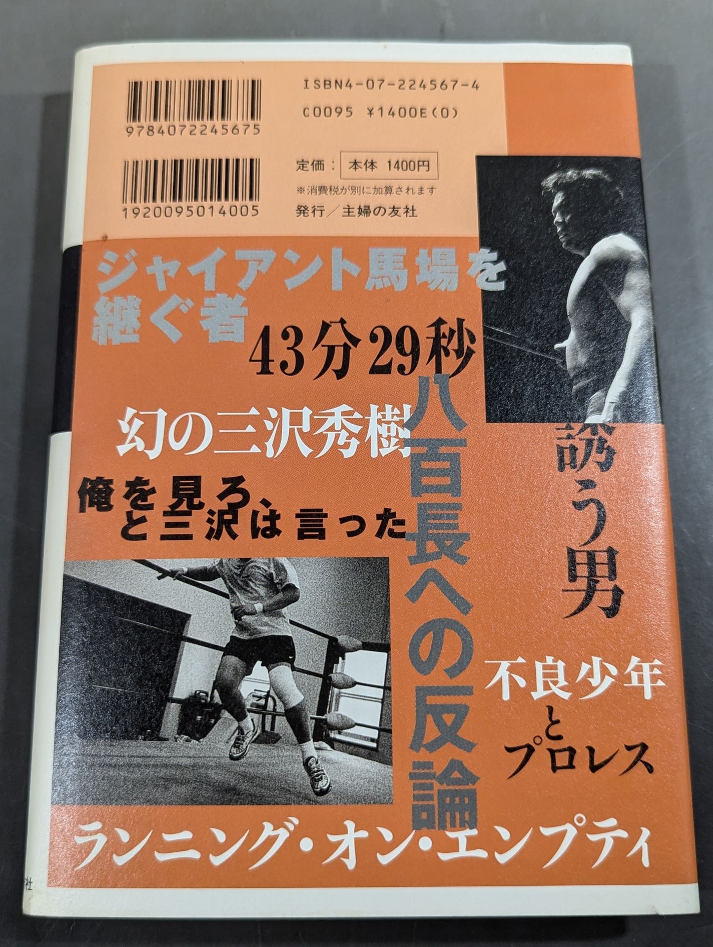 チャンピオン 三沢光晴外伝