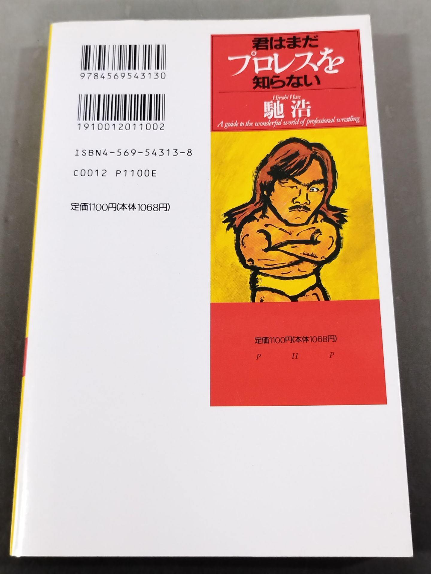 君はまだプロレスを知らない 格闘技哲学宣言