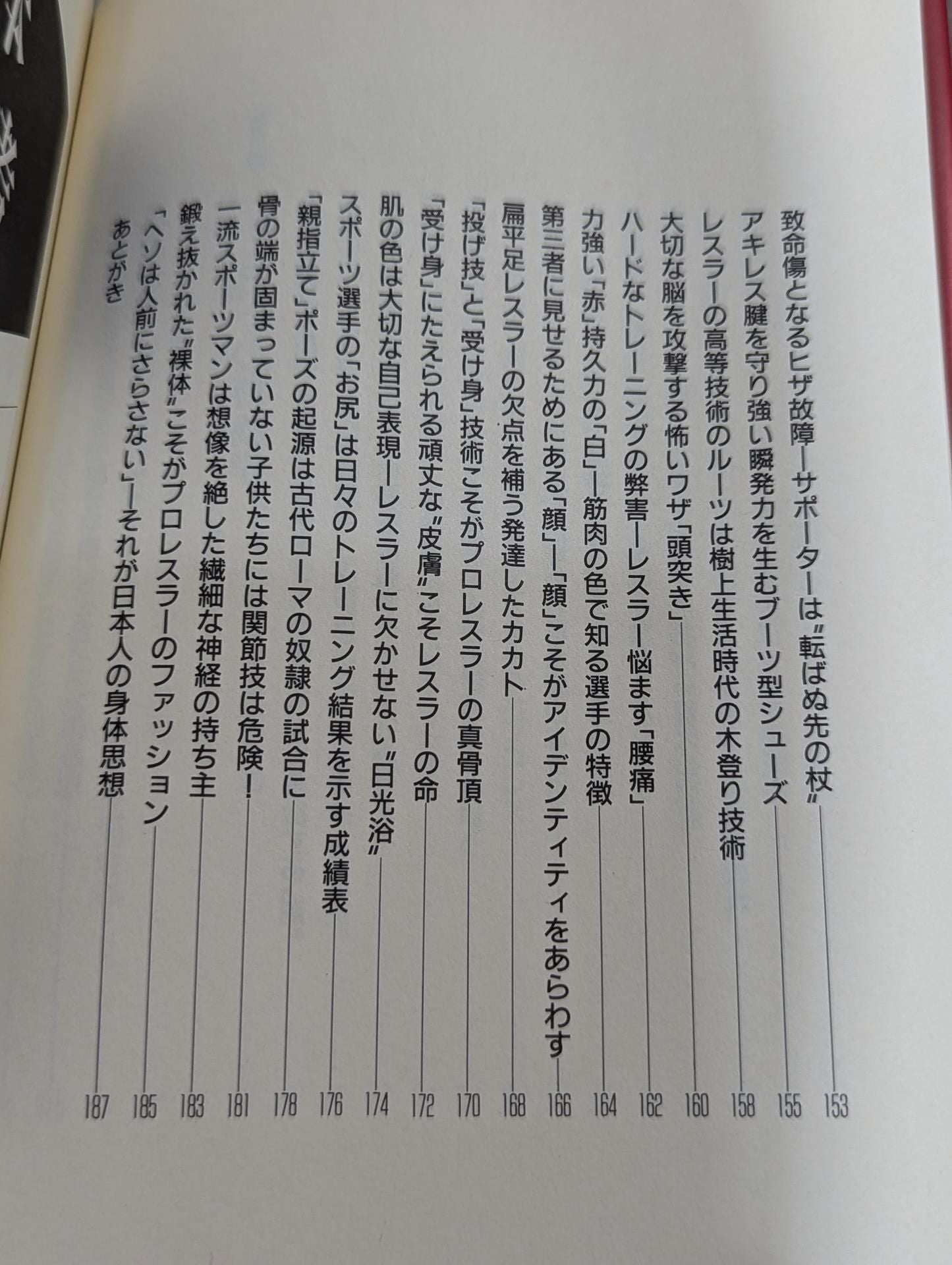 Kenshiro Matsunami's Pro Wrestling Anthropology