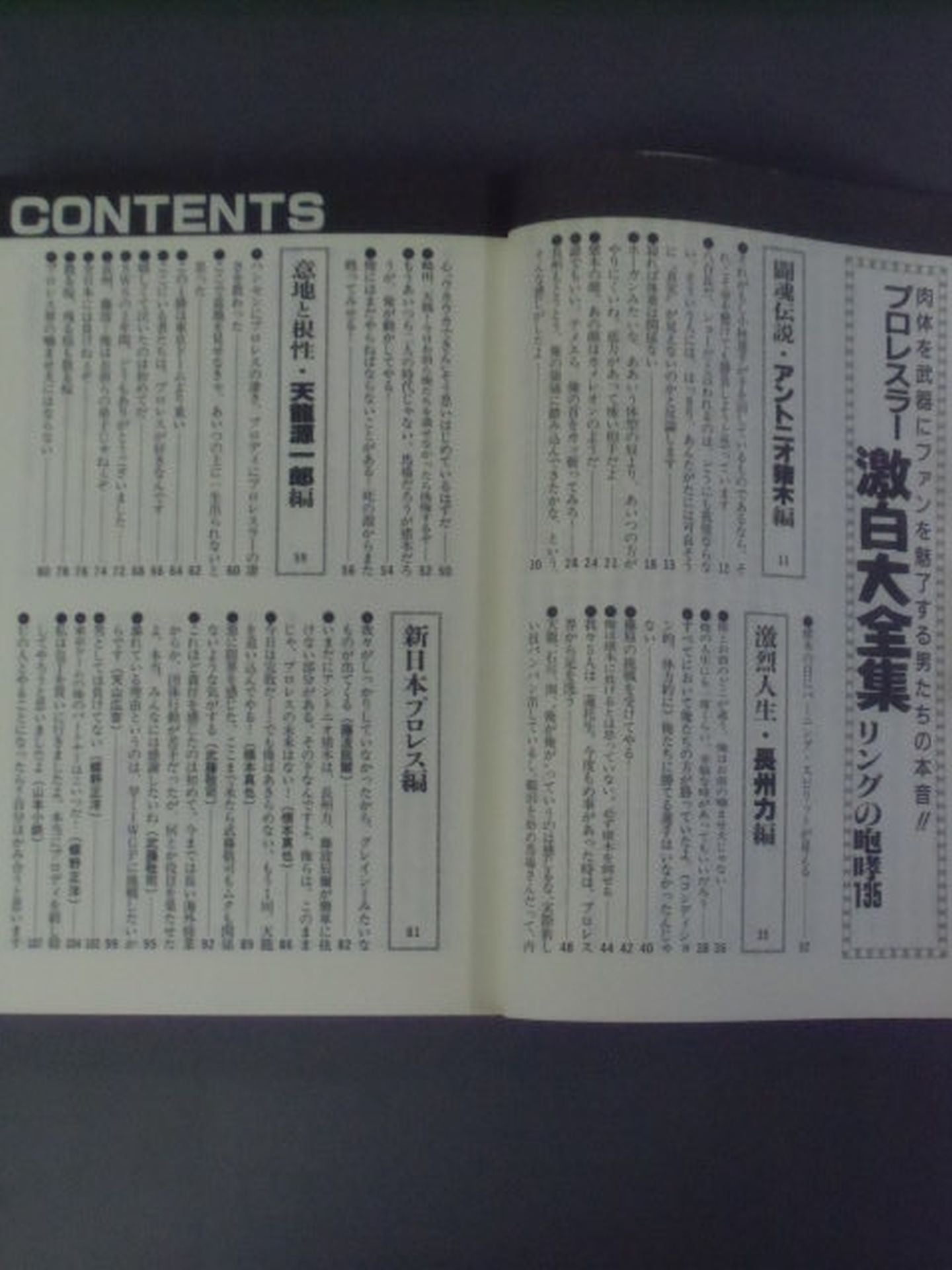 PRO WRESTLER Geki Hakudai Zenshu Ring Roar 135