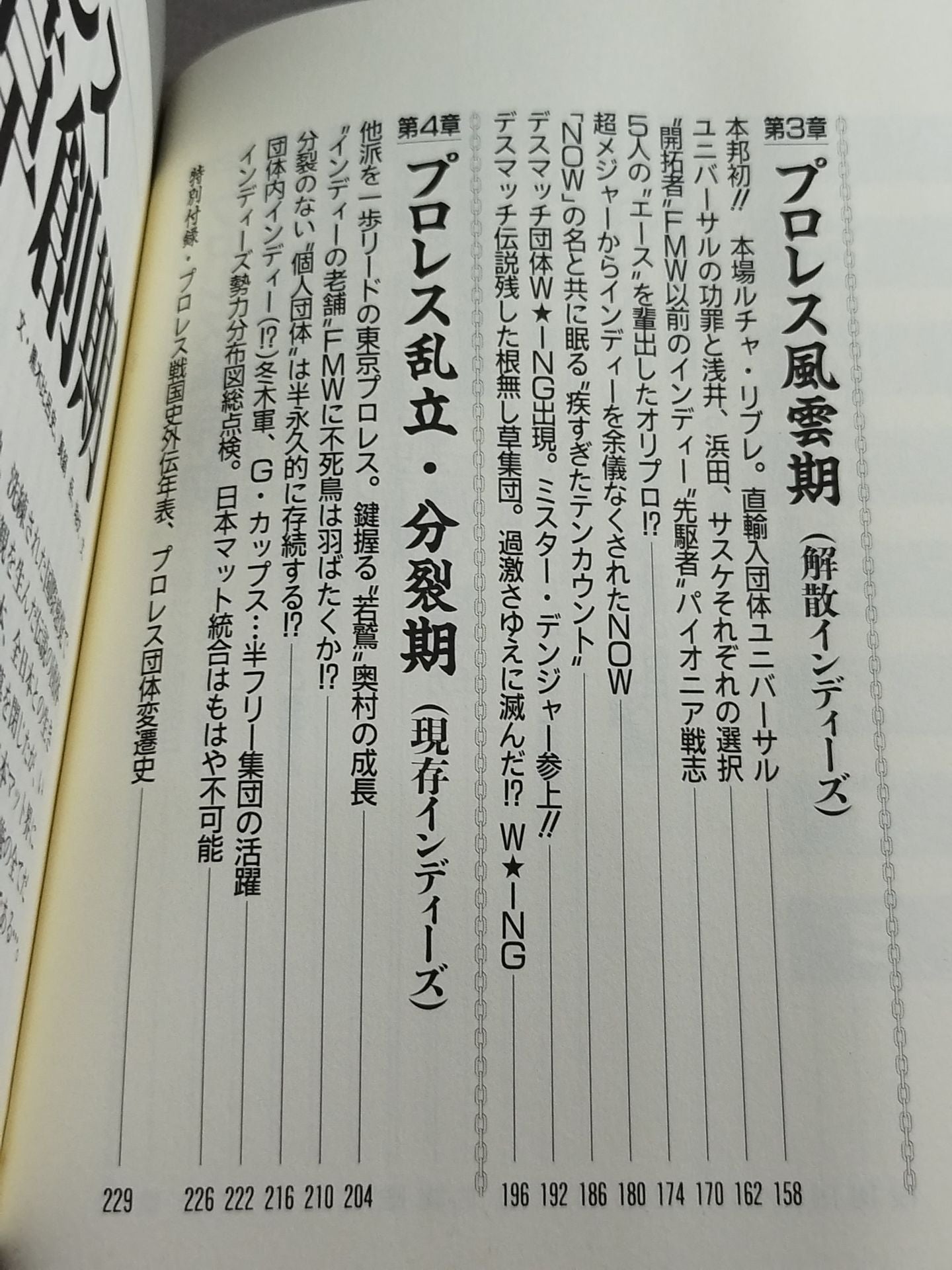 プロレス戦国史 仁義なき戦い