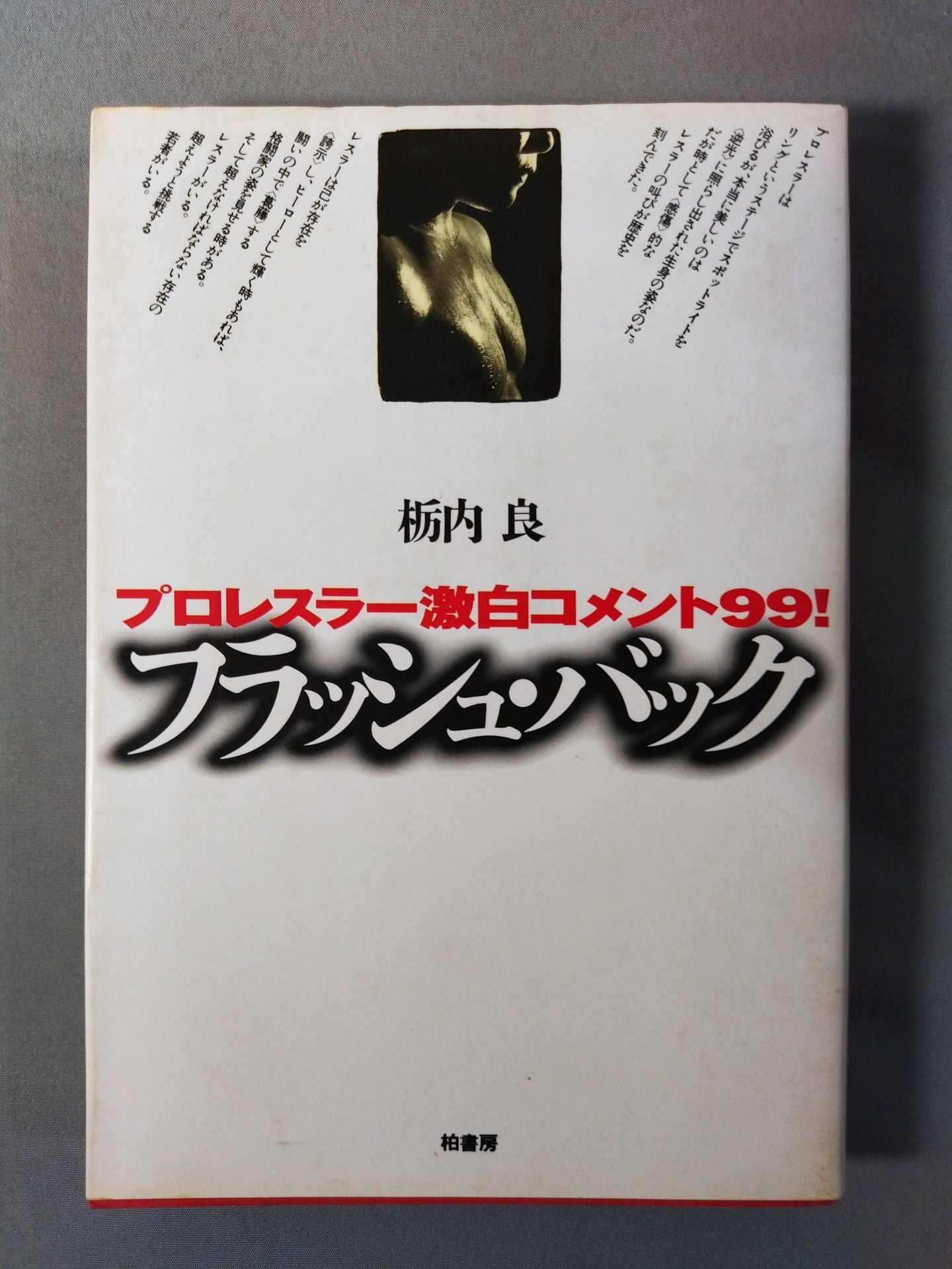 プロレスラー激白コメント99 フラッシュバック