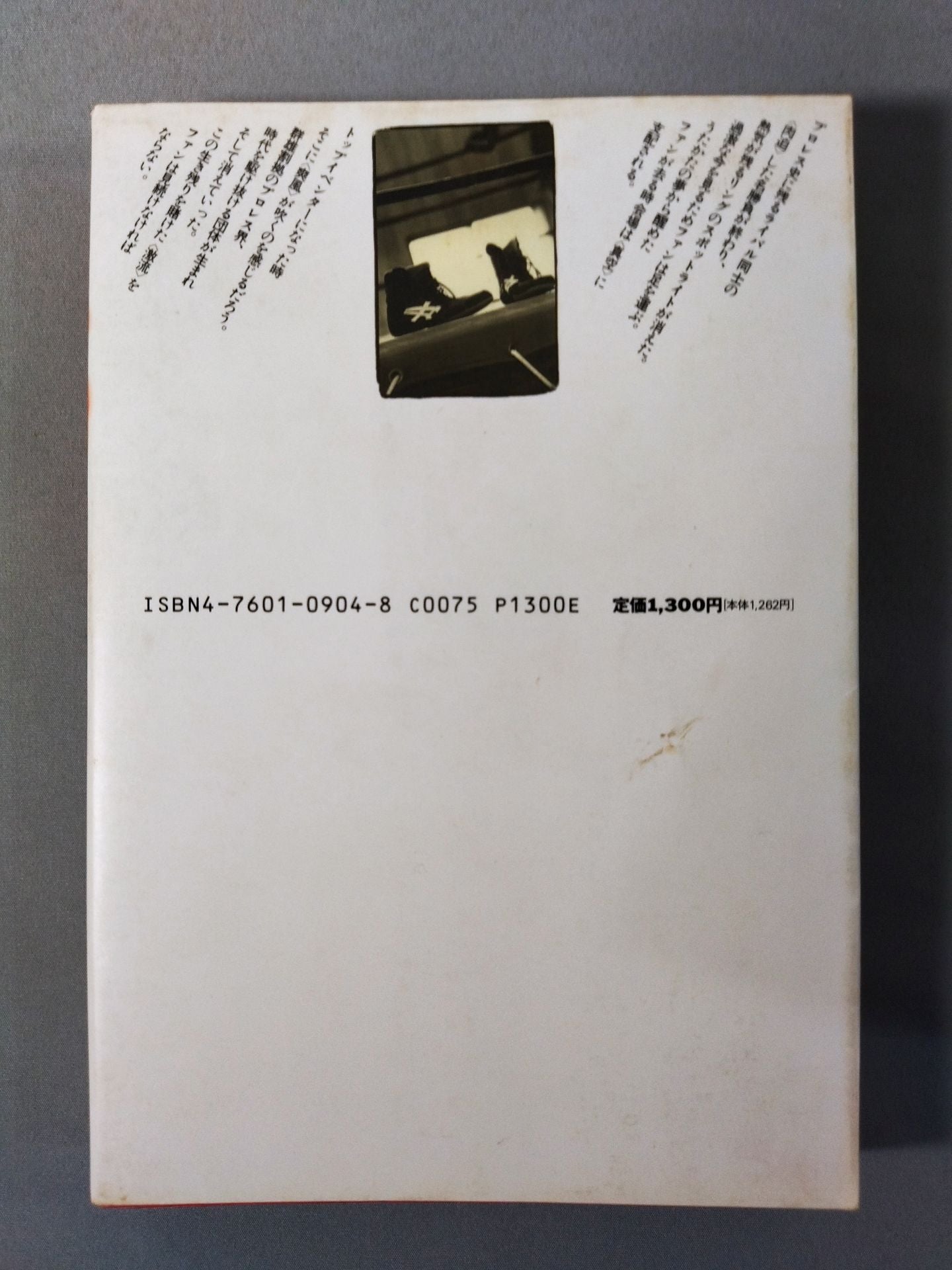 Pro Wrestler Comments 99 Flashback