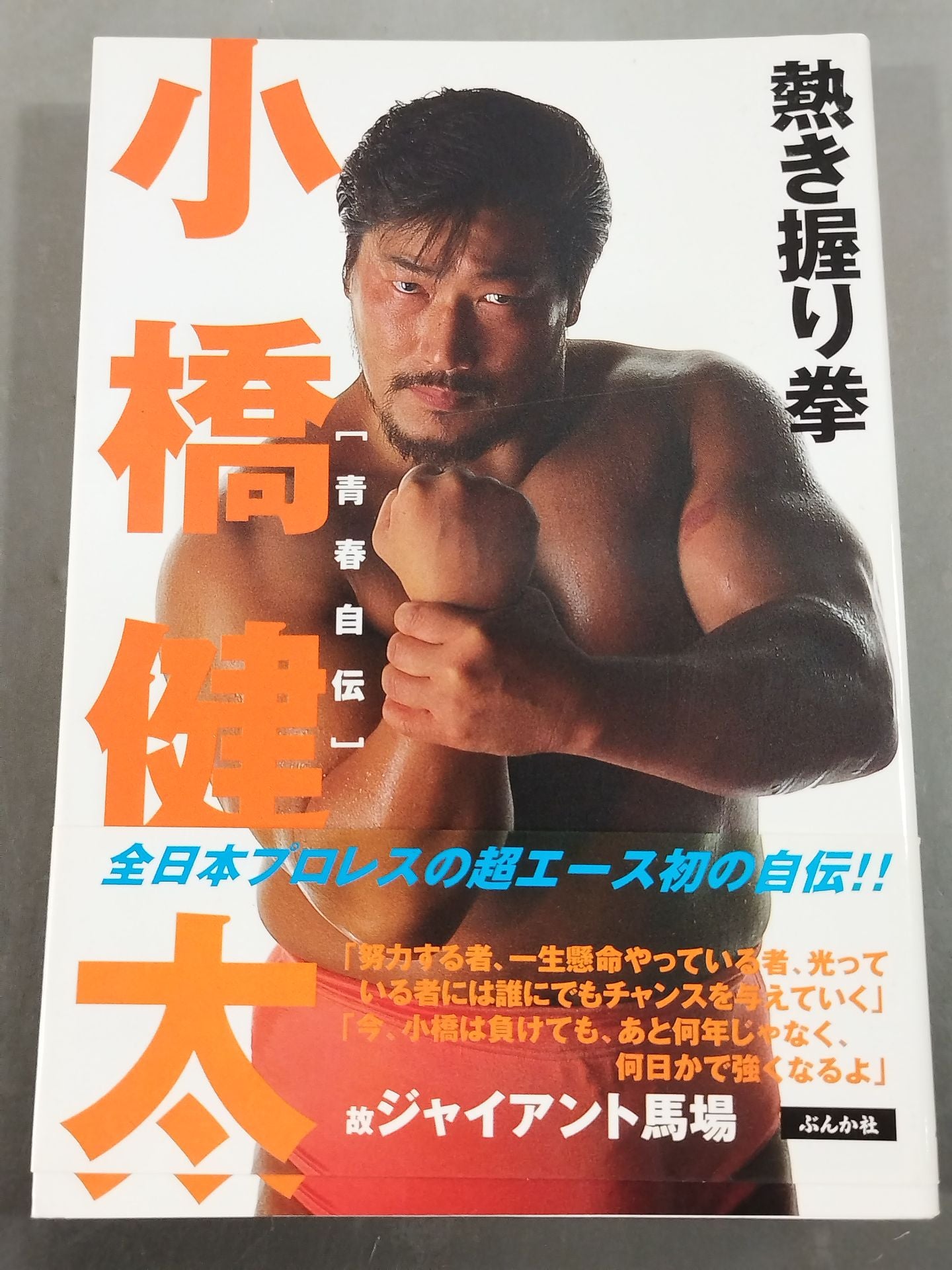 小橋健太 青春自伝 熱き握り拳