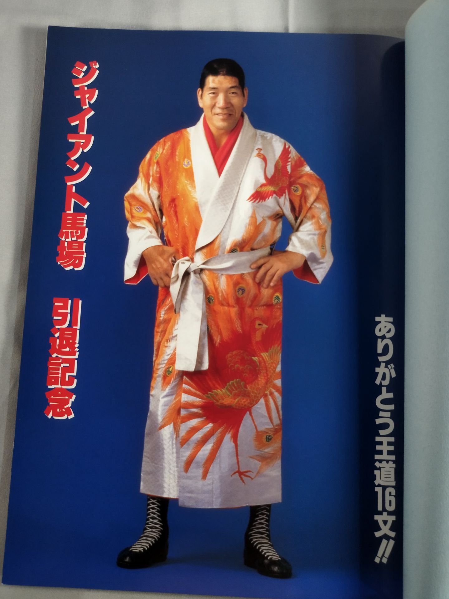 ジャイアント馬場 引退記念 ありがとう王道16文!!