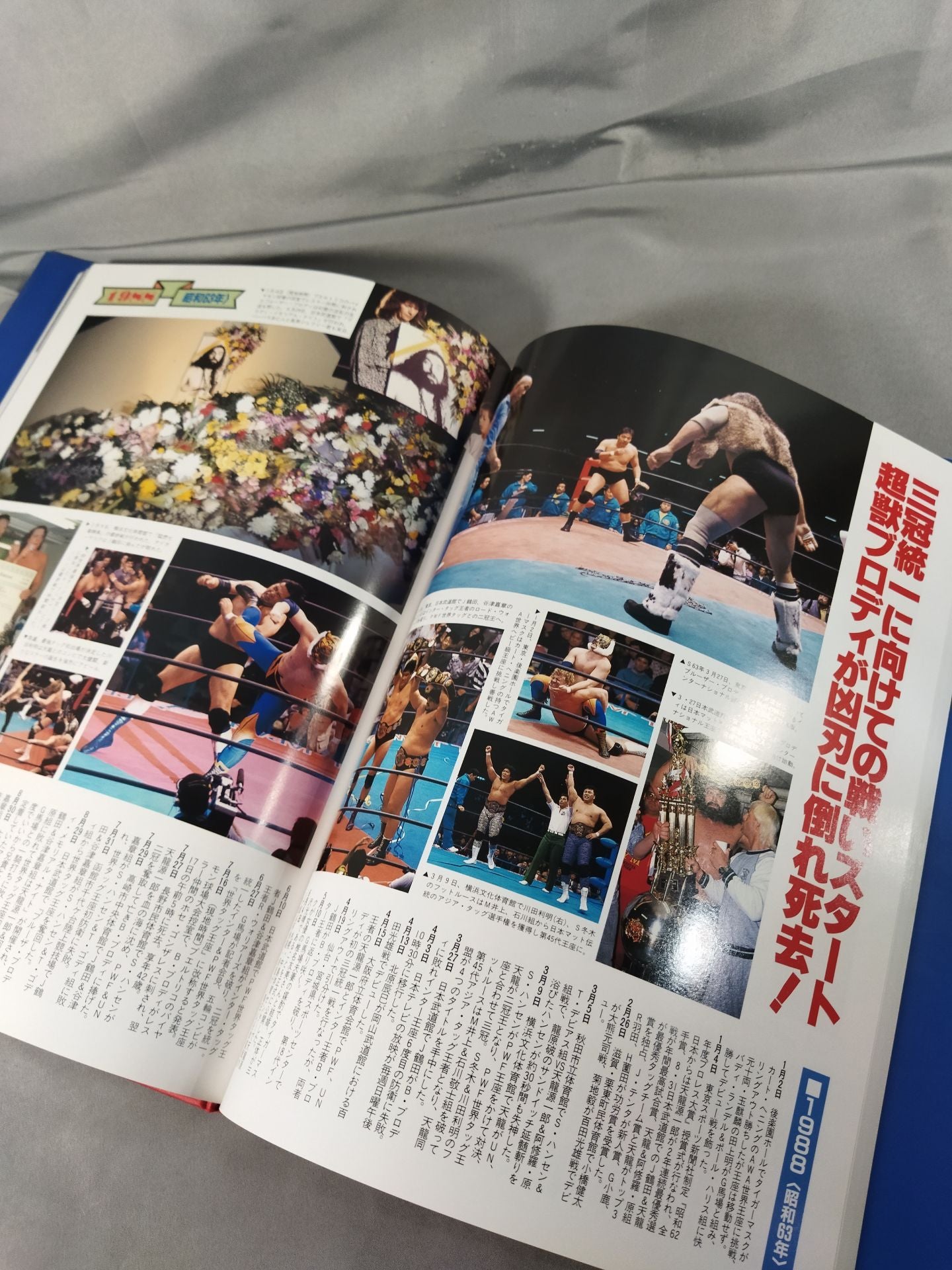 25 Years of Japan Pro Wrestling History "Royal Road Fighting History"