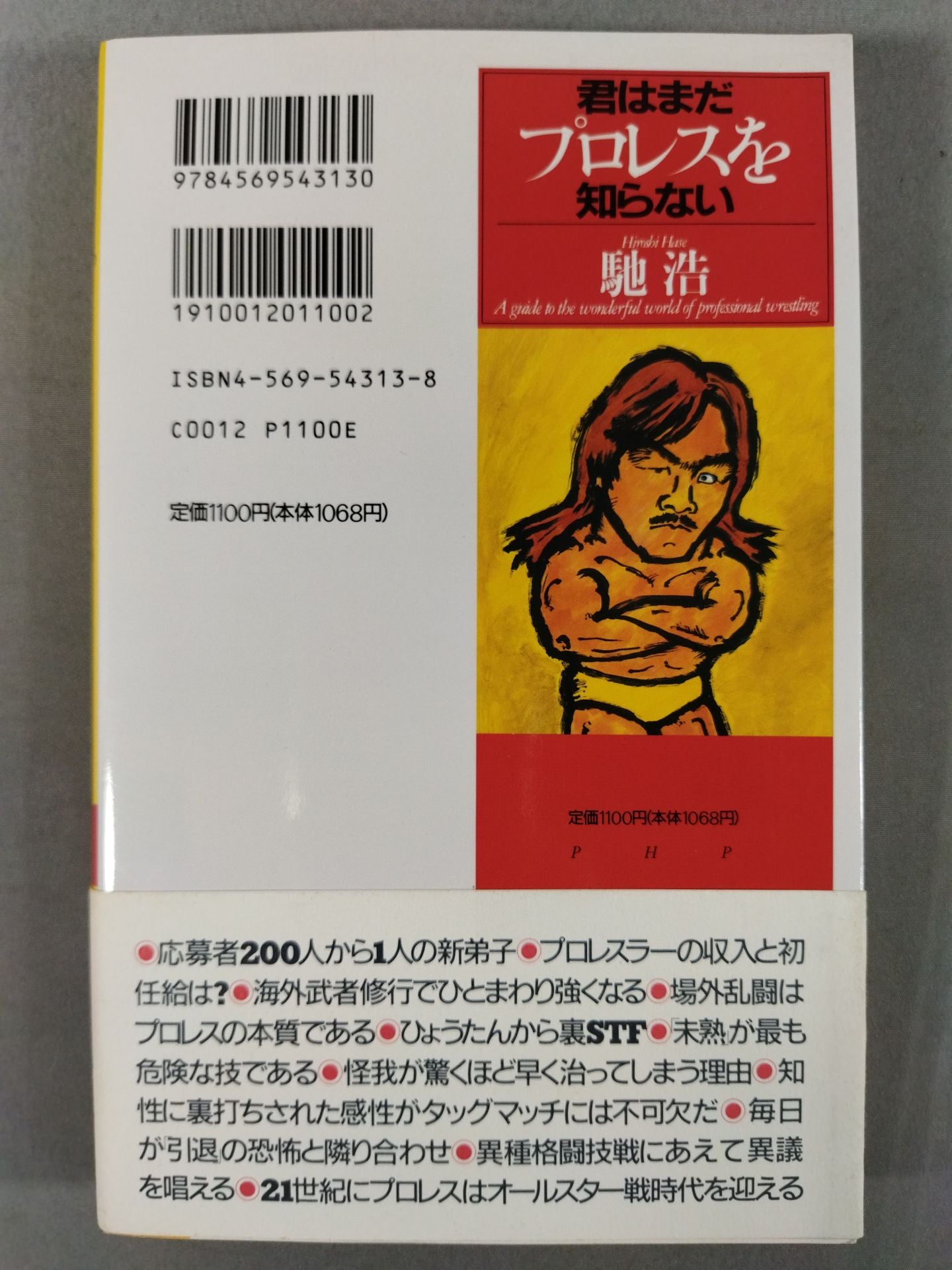 君はまだプロレスを知らない 格闘技哲学宣言