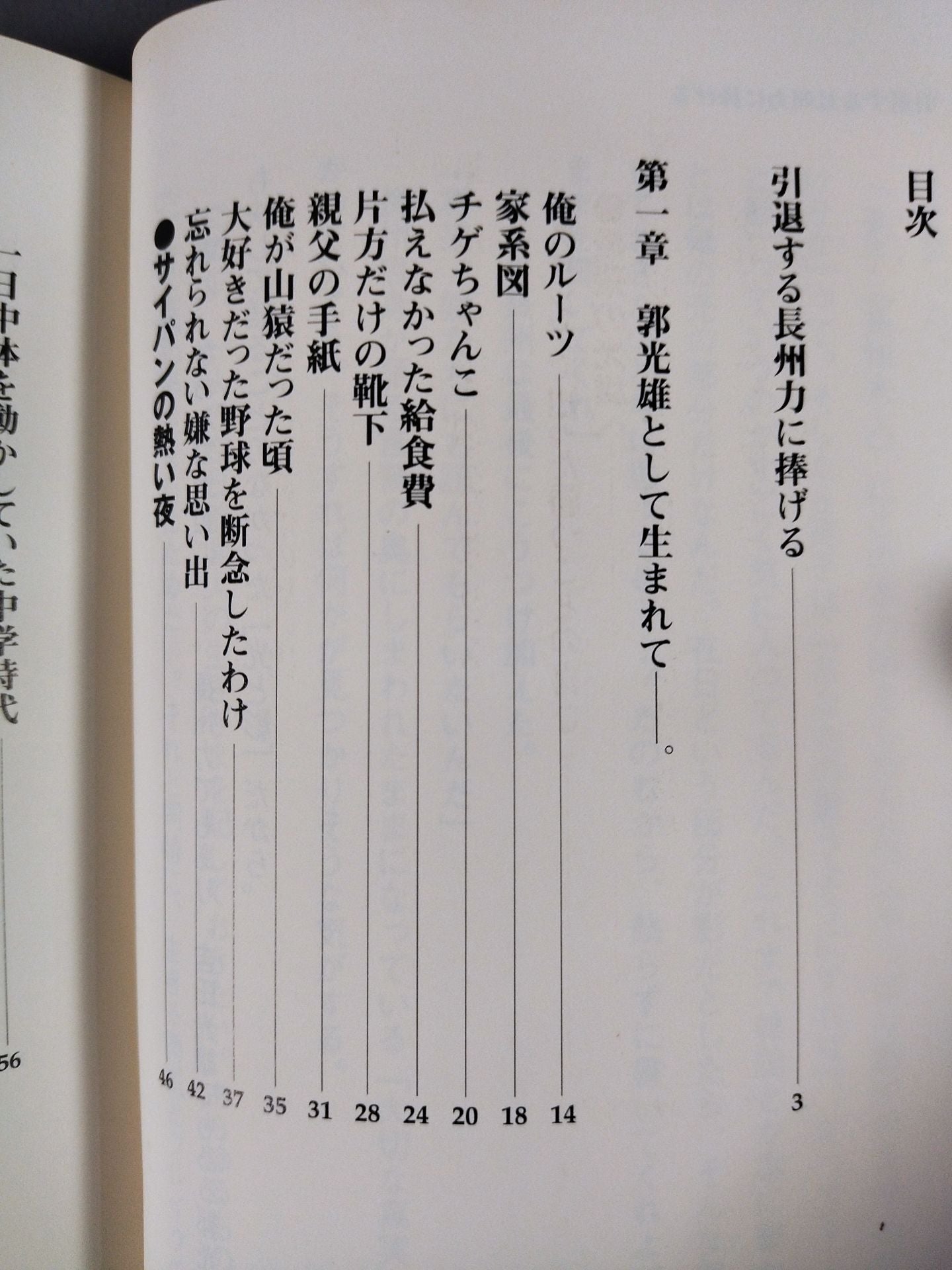 Rebellious ism: The light and shadow of Riki Choshu