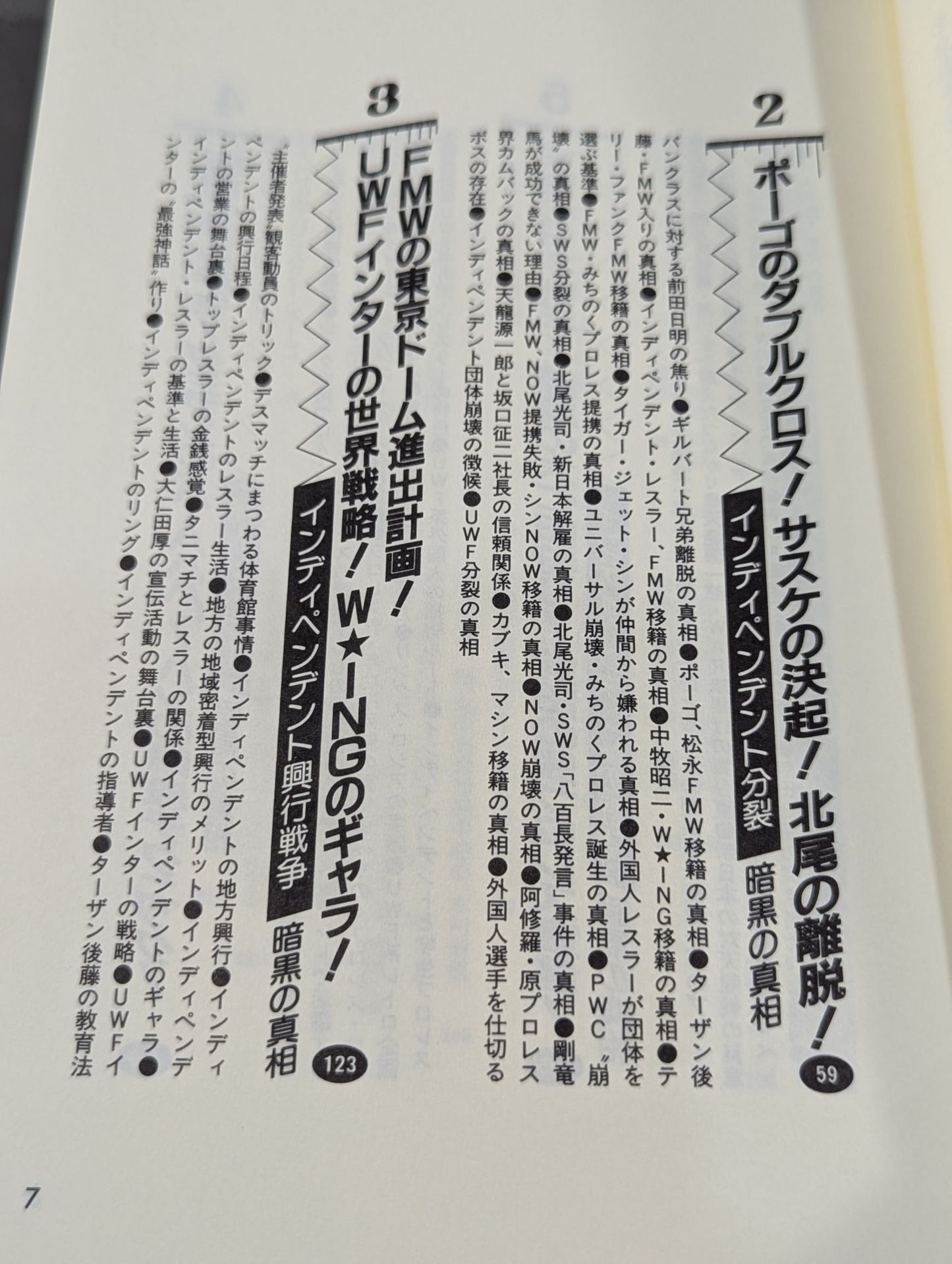 Pocket Book 62 Atsushi Onita UWF "DarknessThe Truth About Pro Wrestling