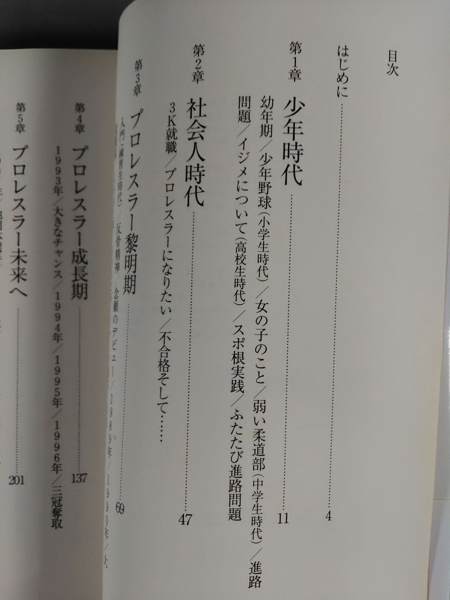 Kenta Kobashi Youth Autobiography Hot Fist