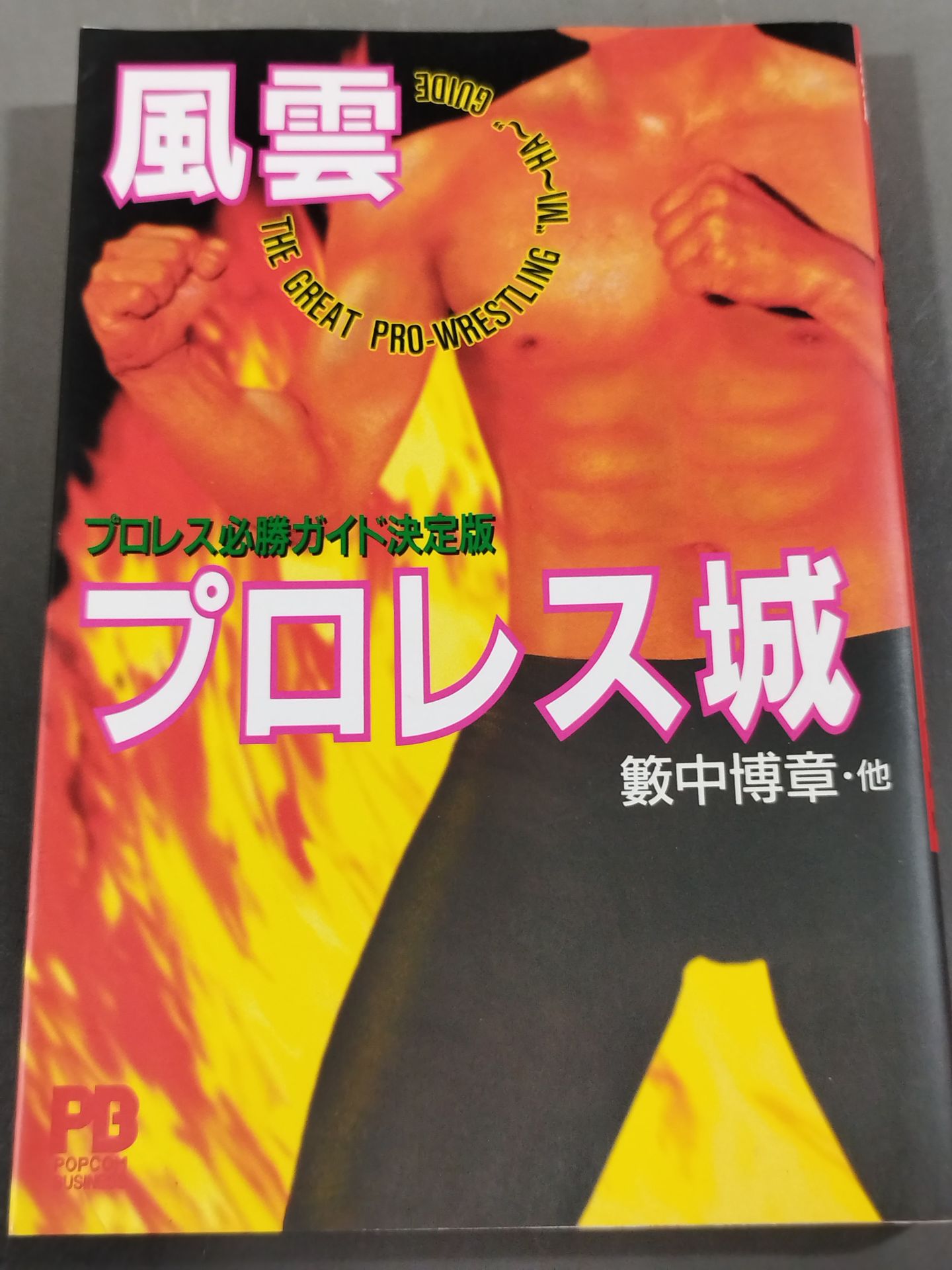 風雲プロレス城 プロレス必勝ガイド決定版